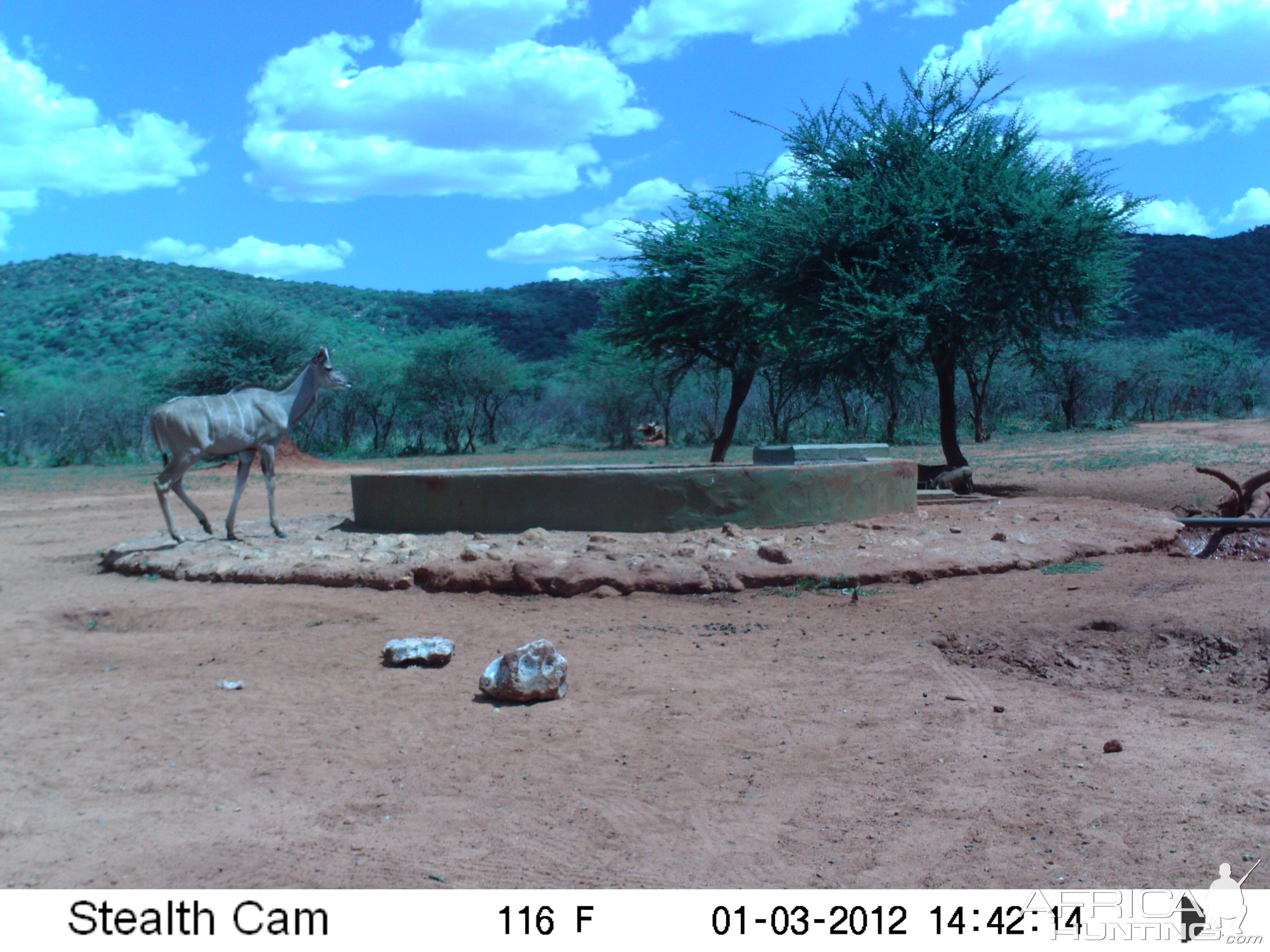 Trail Camera Namibia