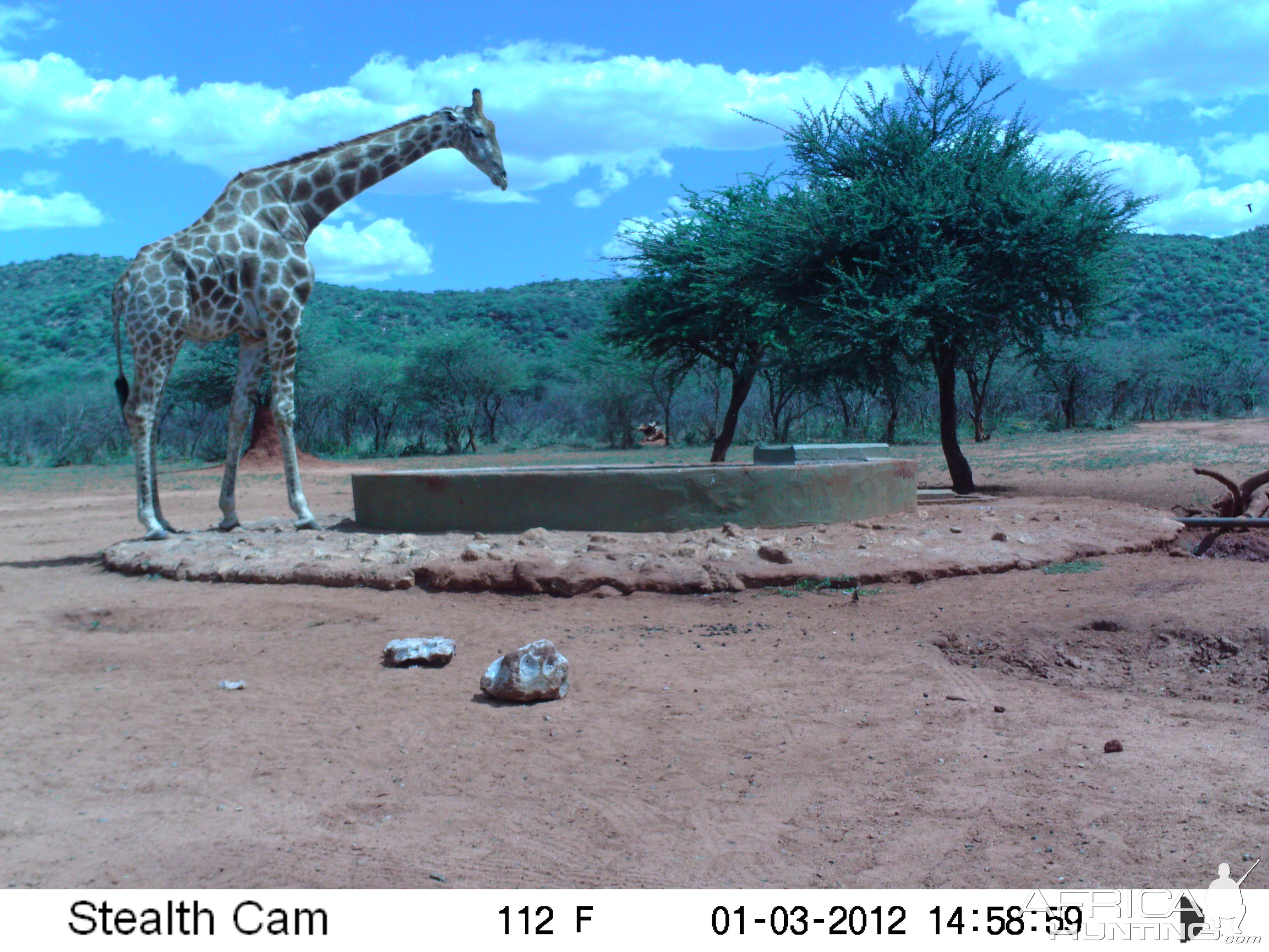 Trail Camera Namibia