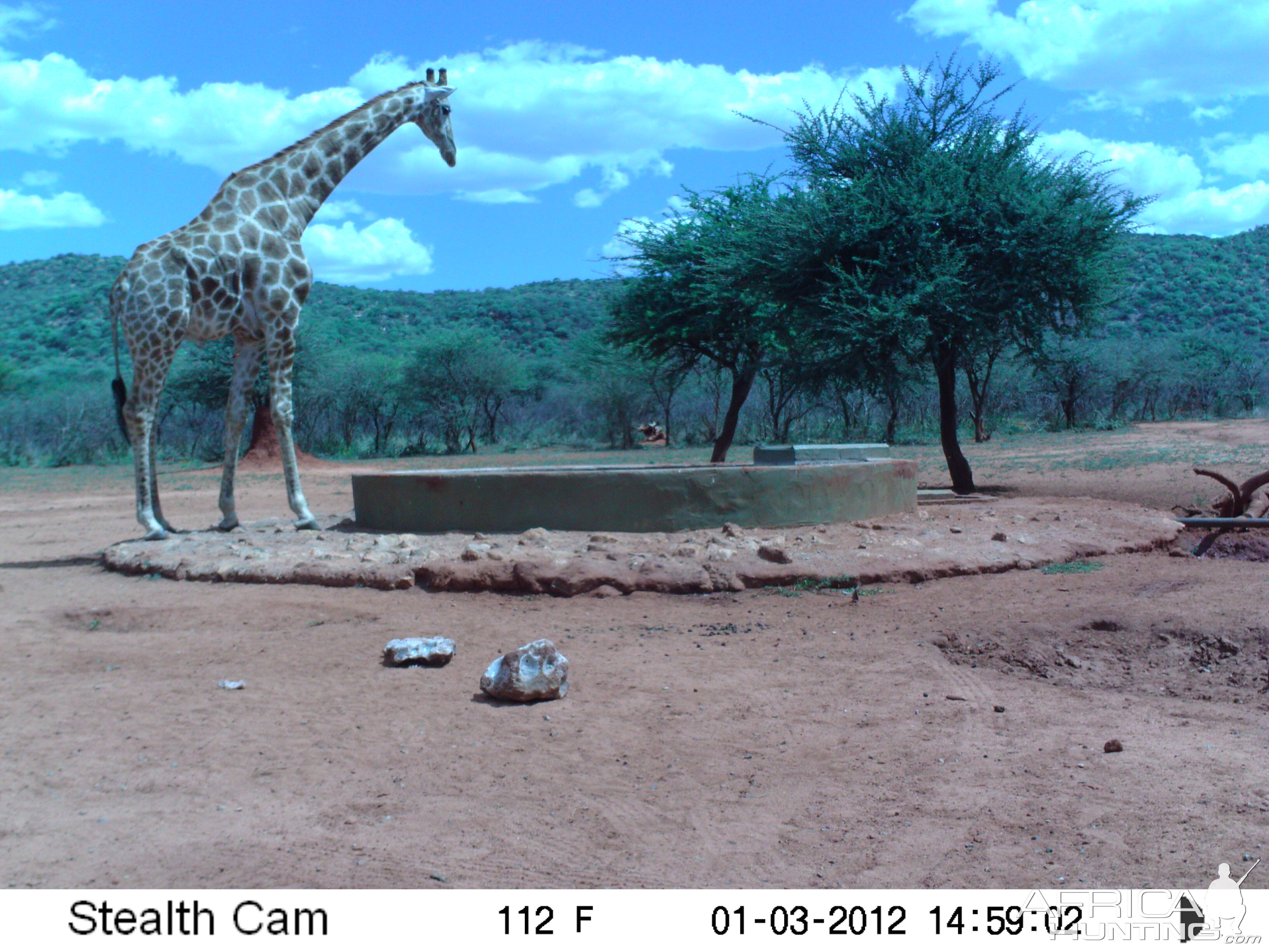 Trail Camera Namibia