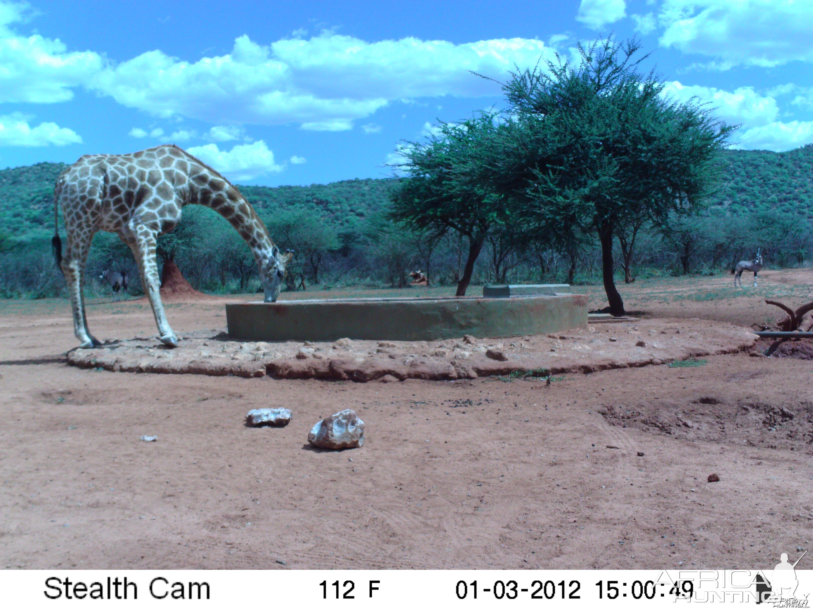 Trail Camera Namibia