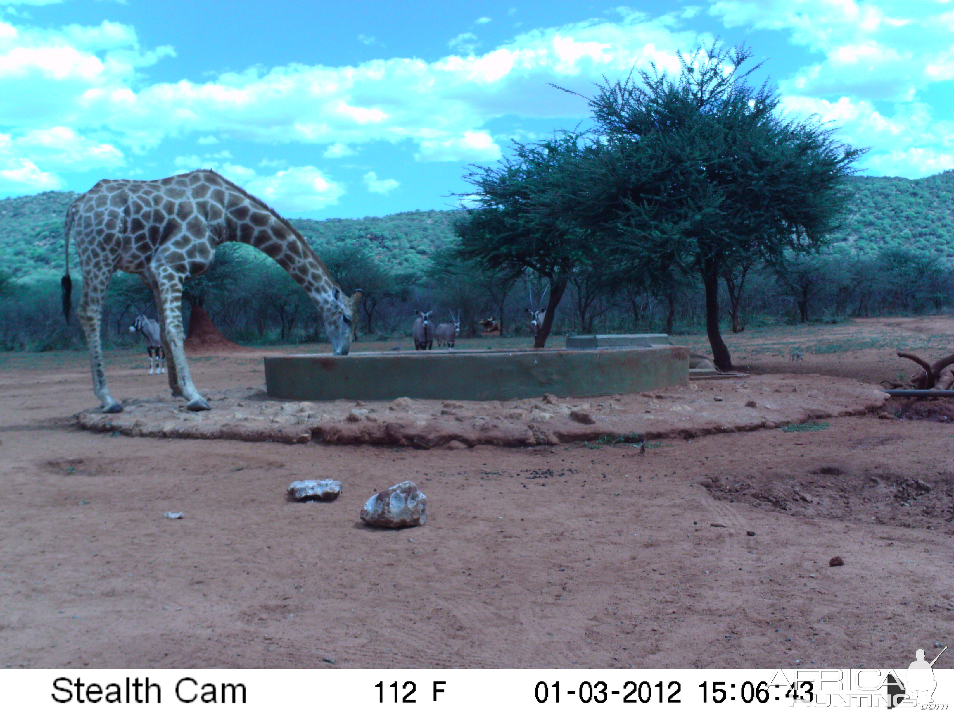 Trail Camera Namibia