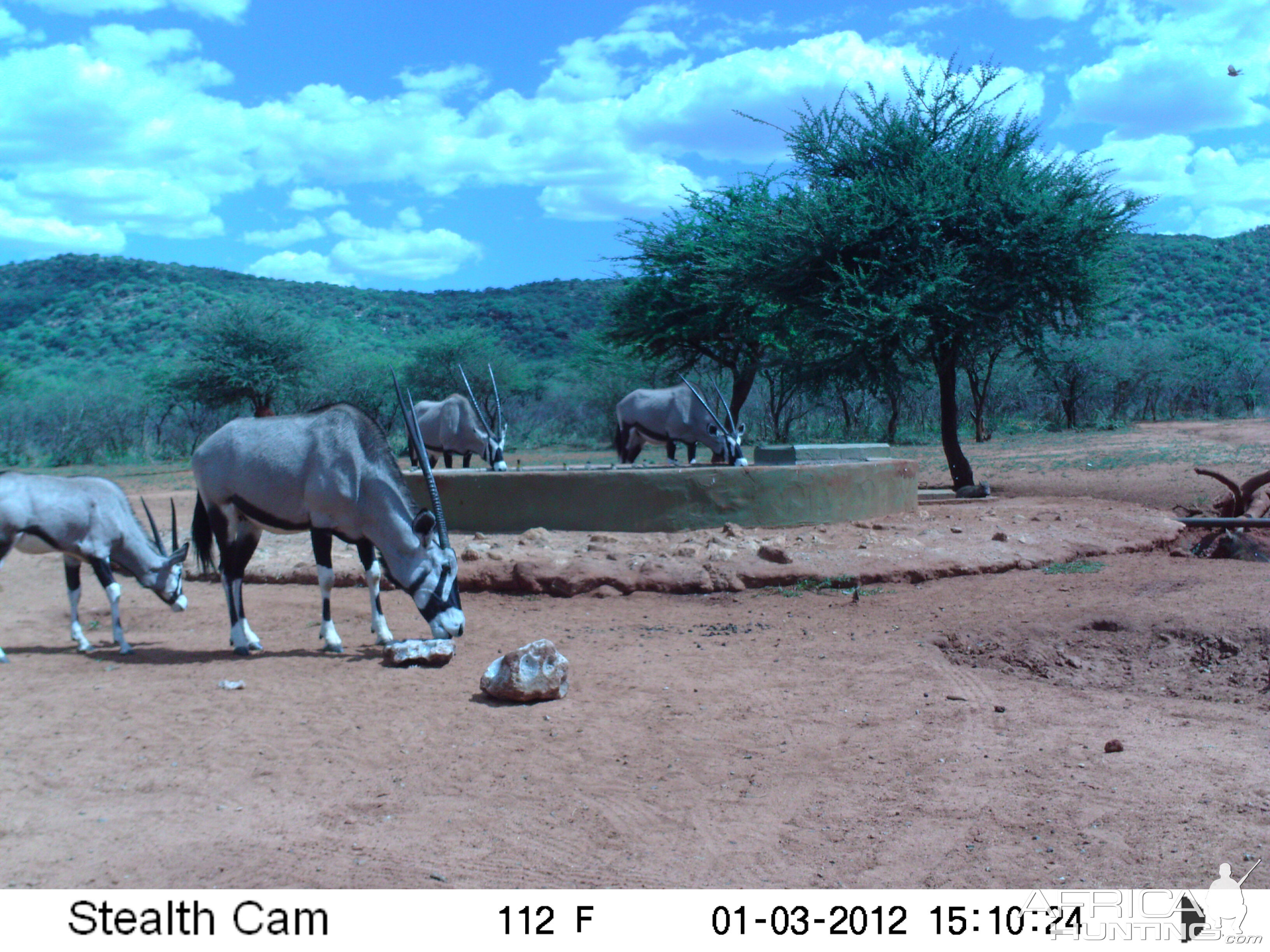 Trail Camera Namibia