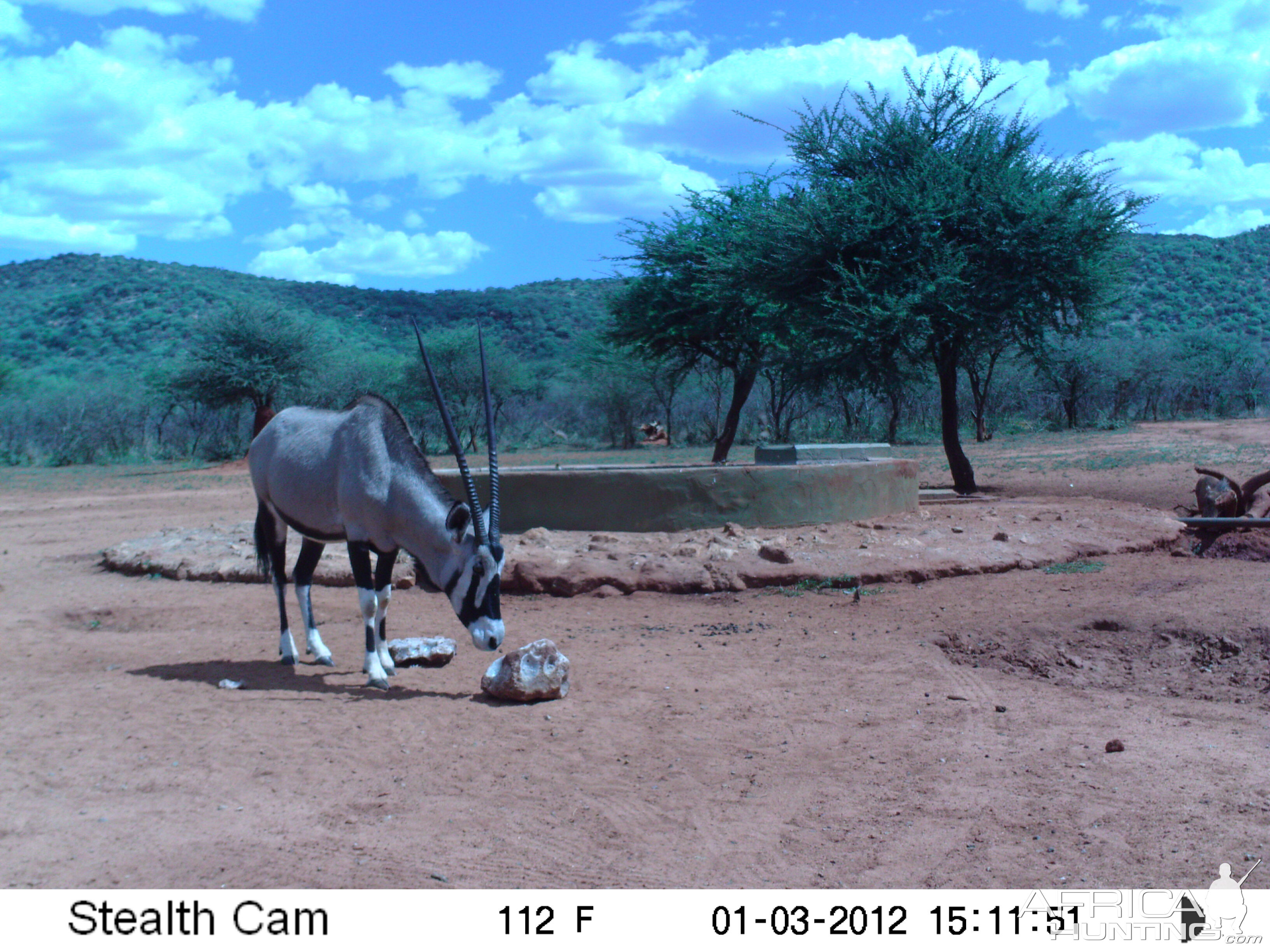 Trail Camera Namibia