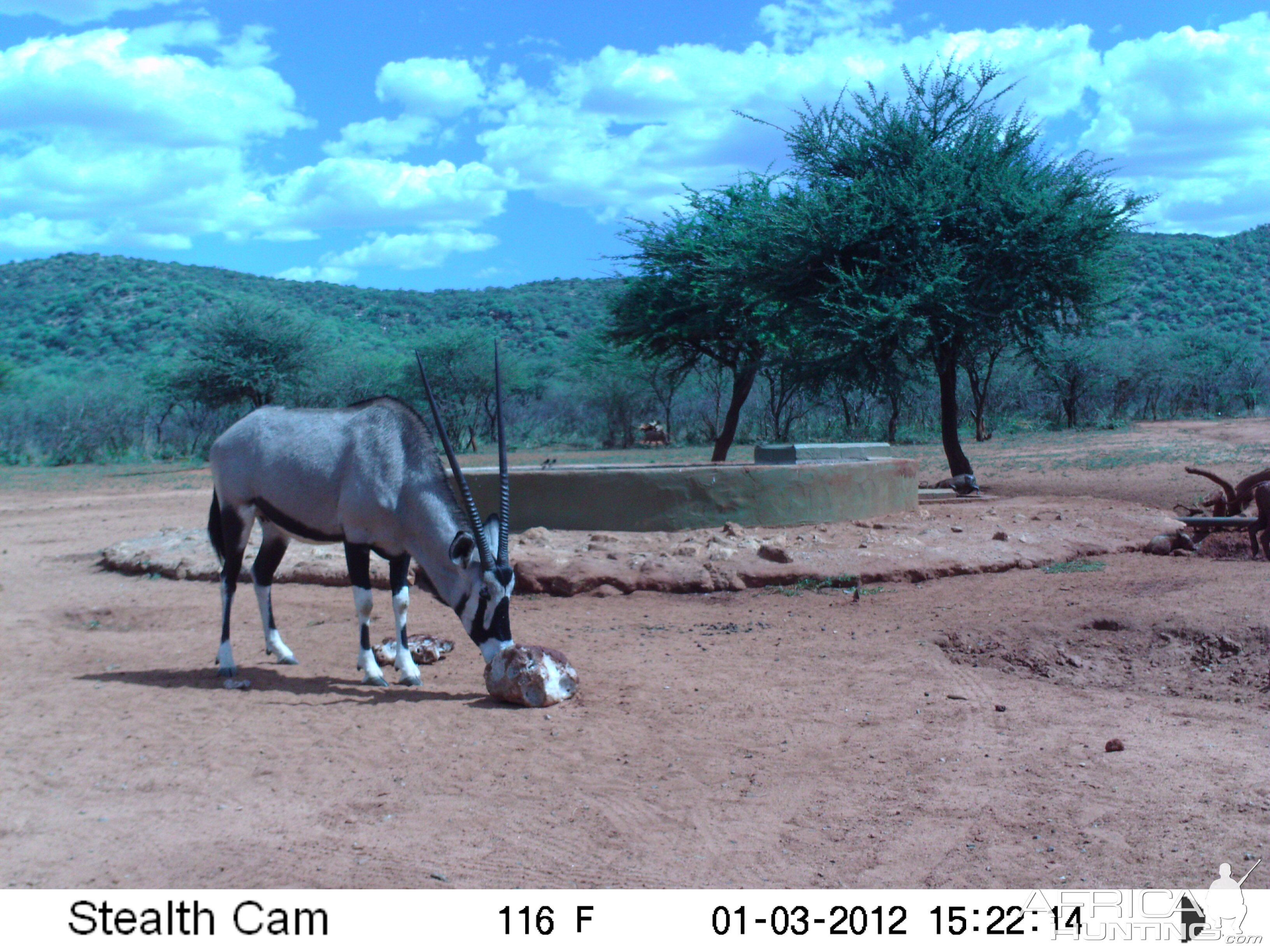 Trail Camera Namibia