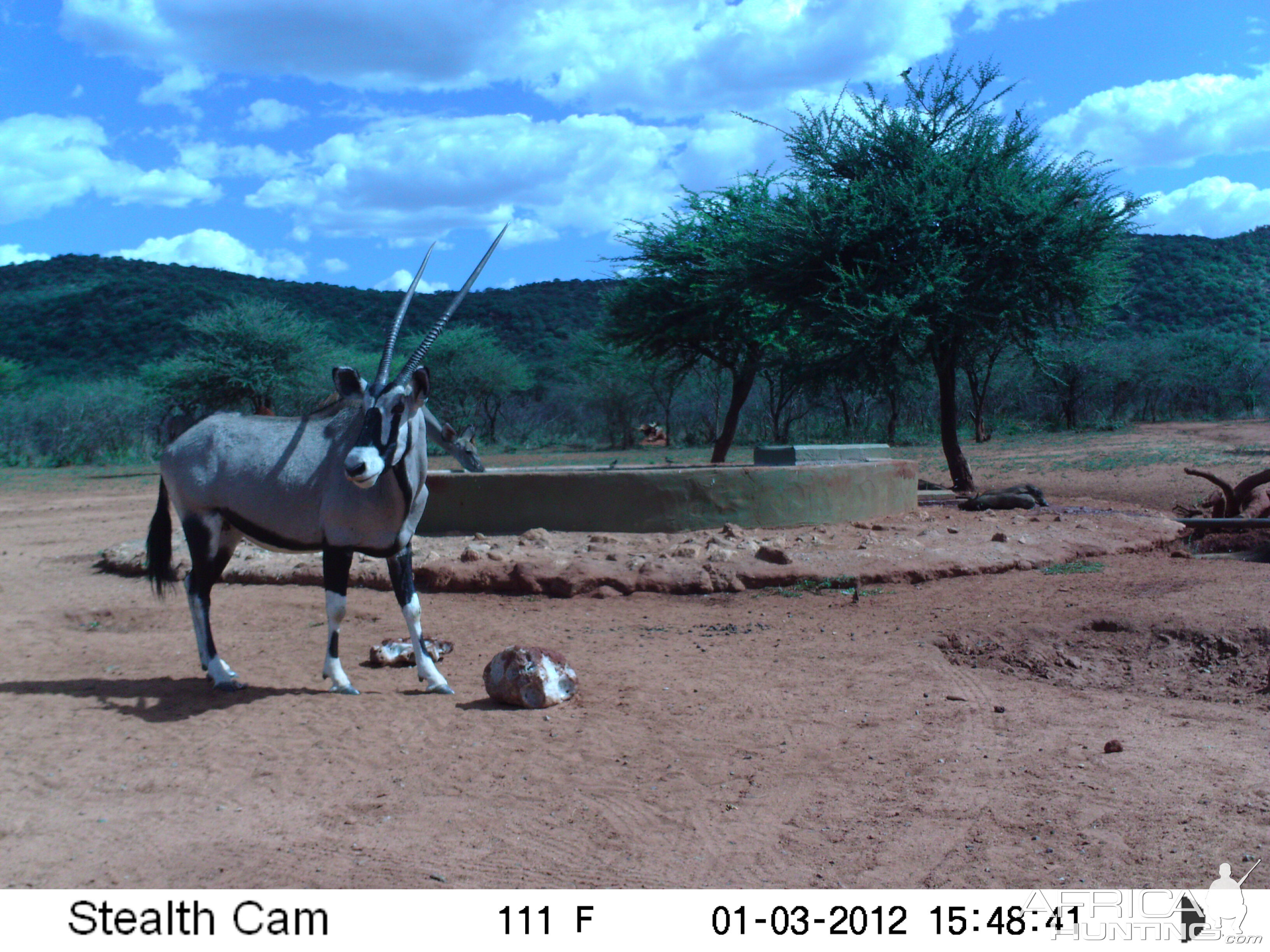 Trail Camera Namibia