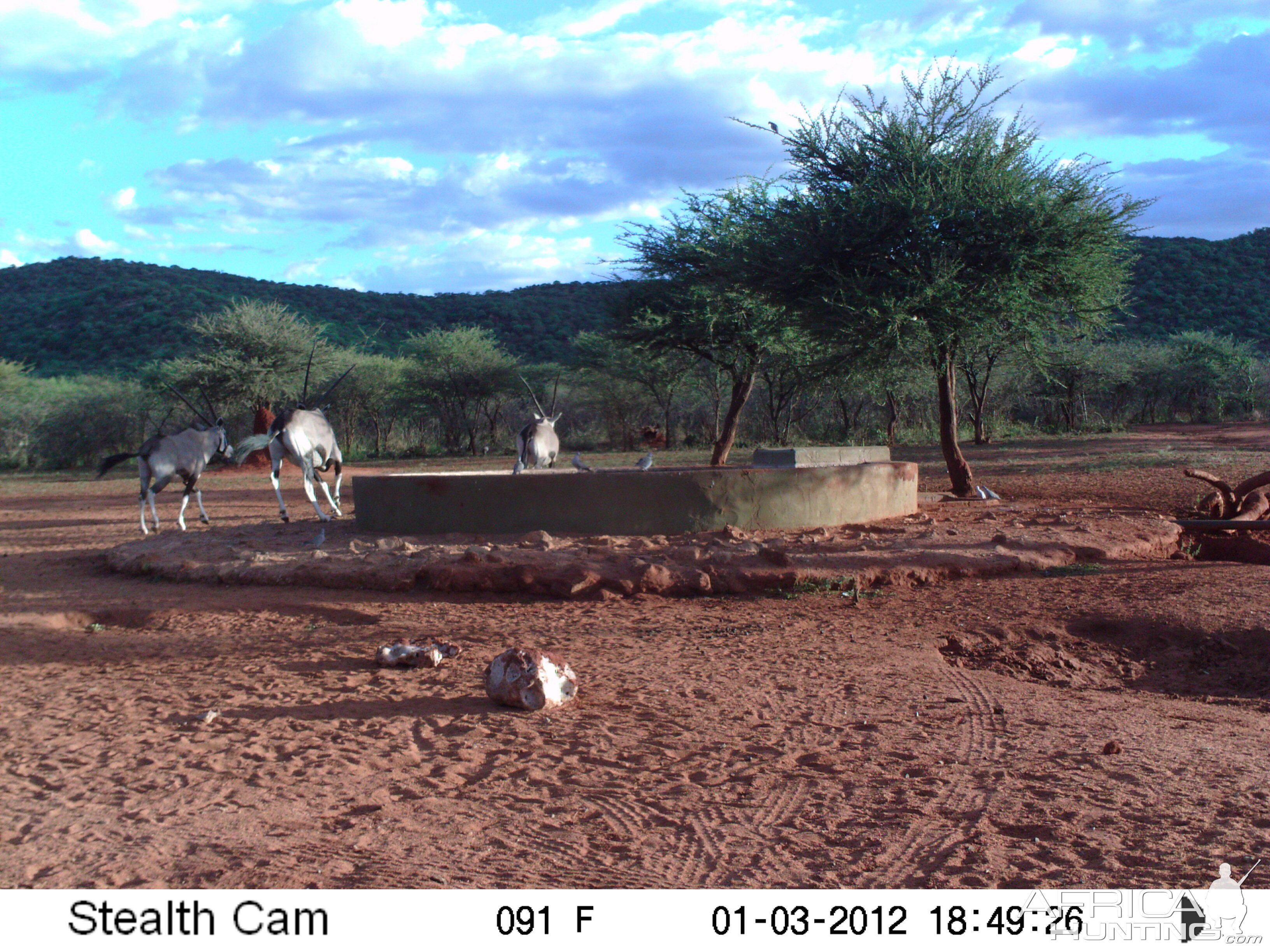 Trail Camera Namibia