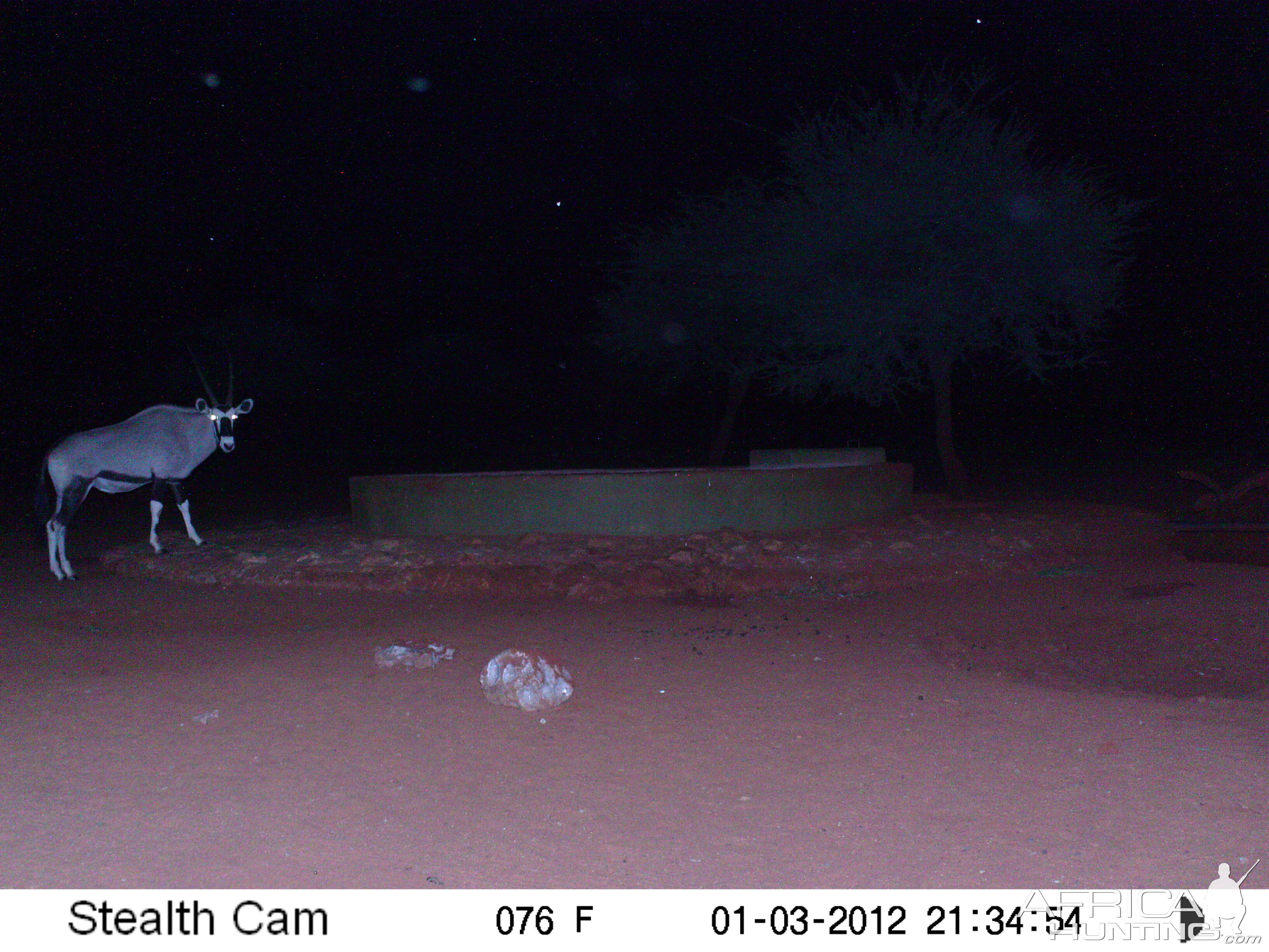 Trail Camera Namibia