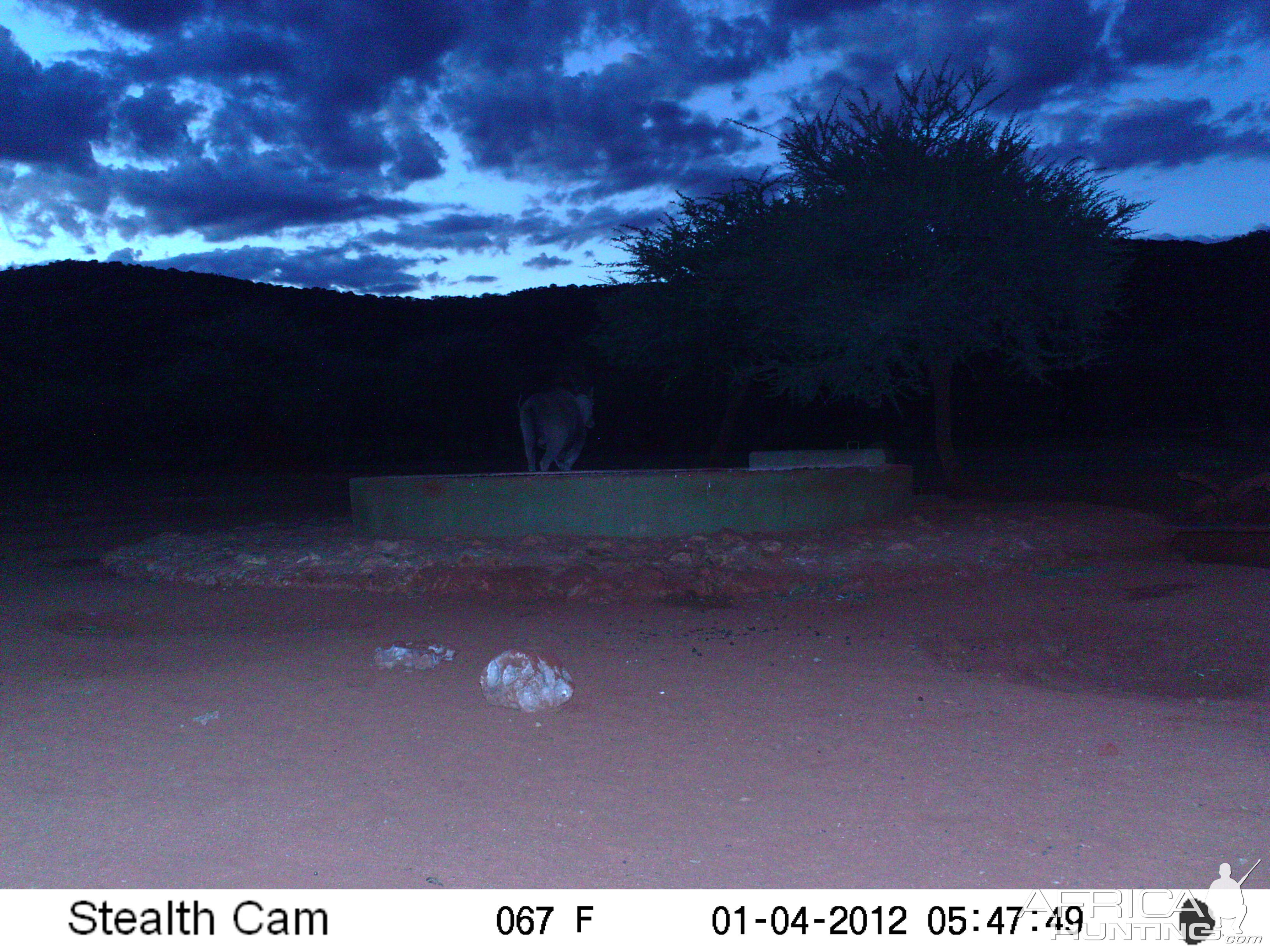 Trail Camera Namibia