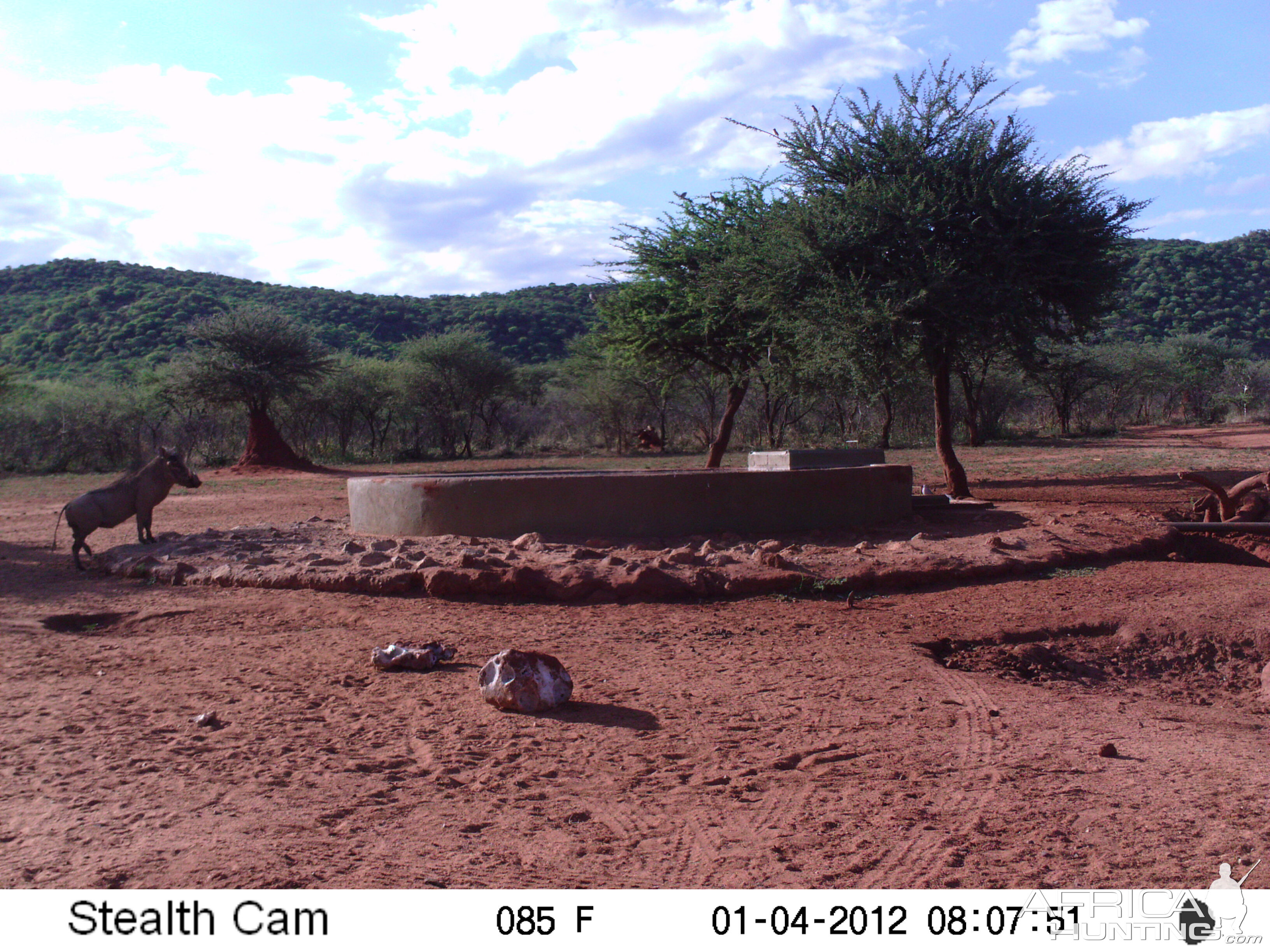 Trail Camera Namibia