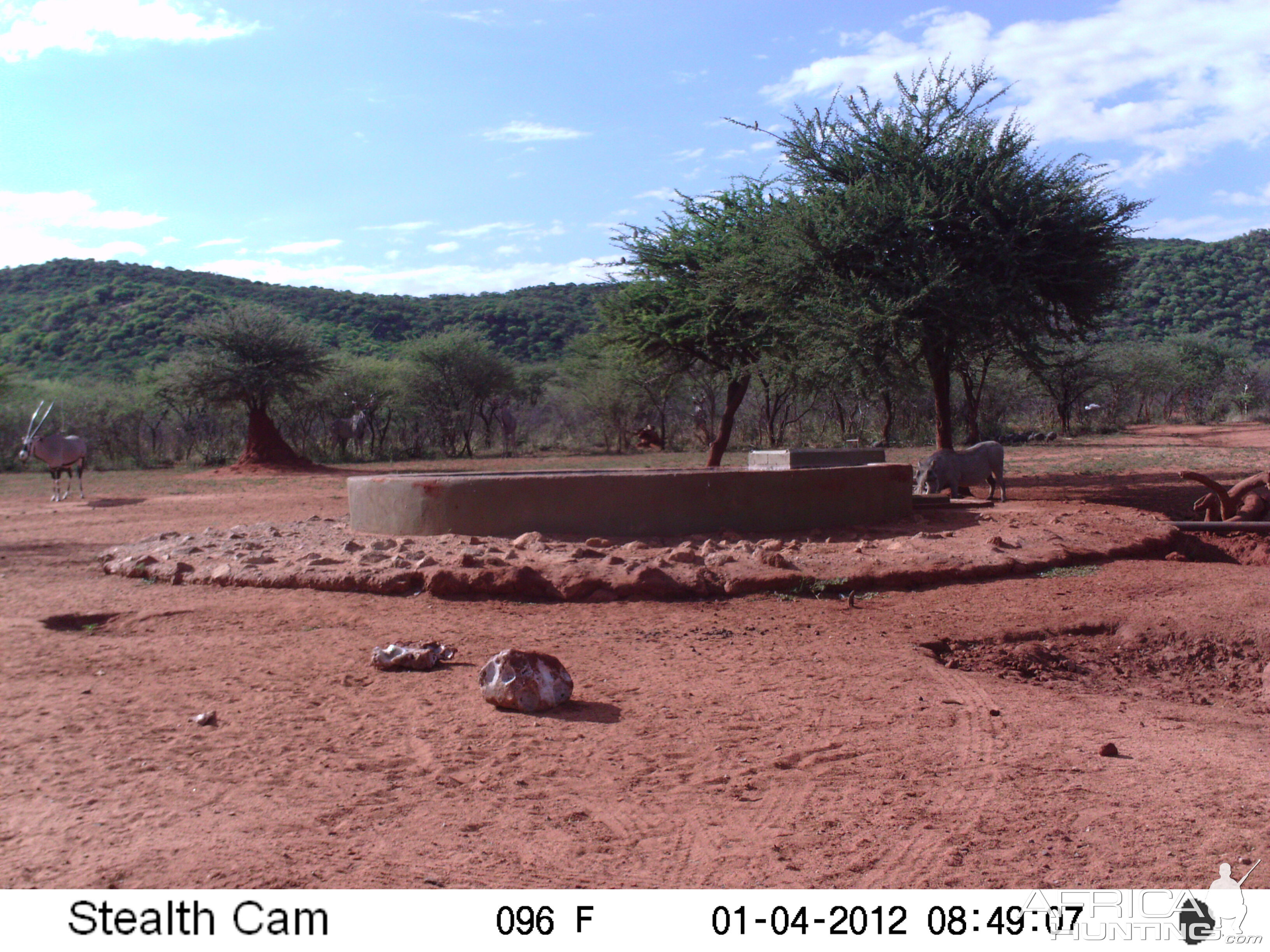 Trail Camera Namibia