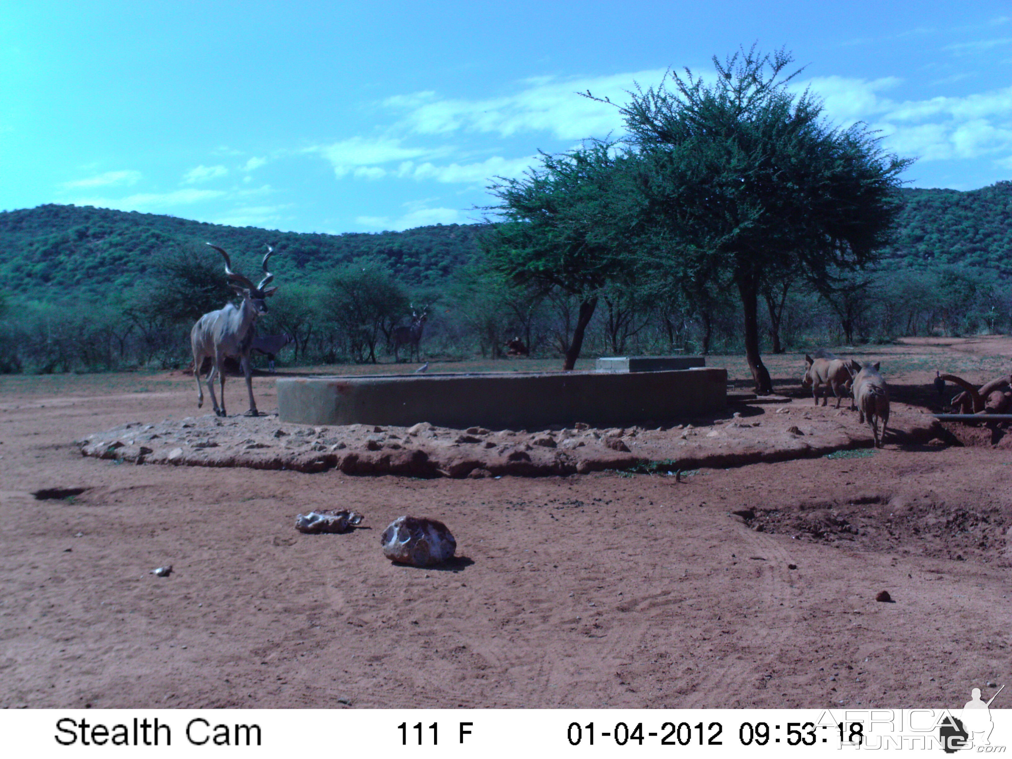 Trail Camera Namibia