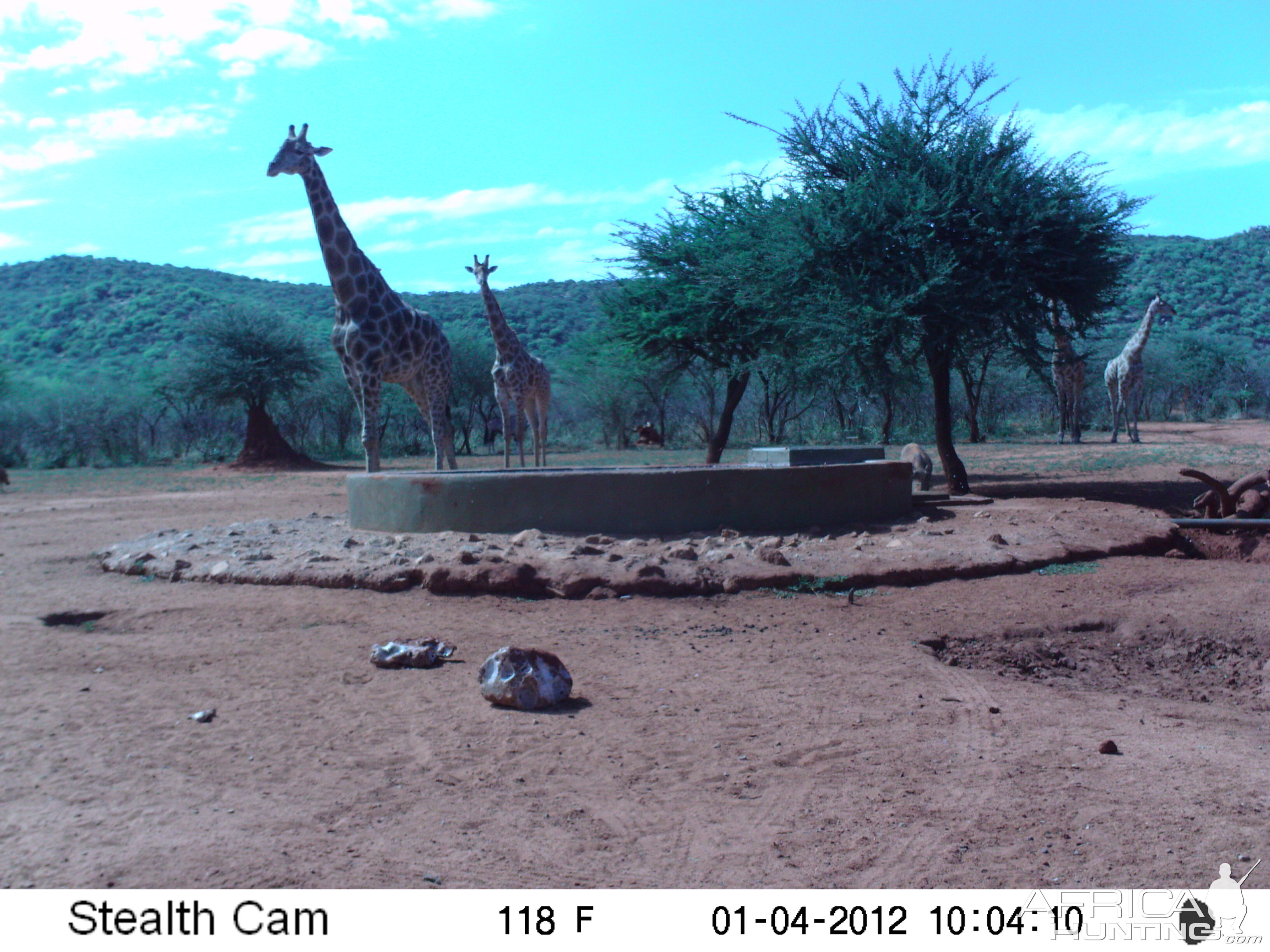 Trail Camera Namibia