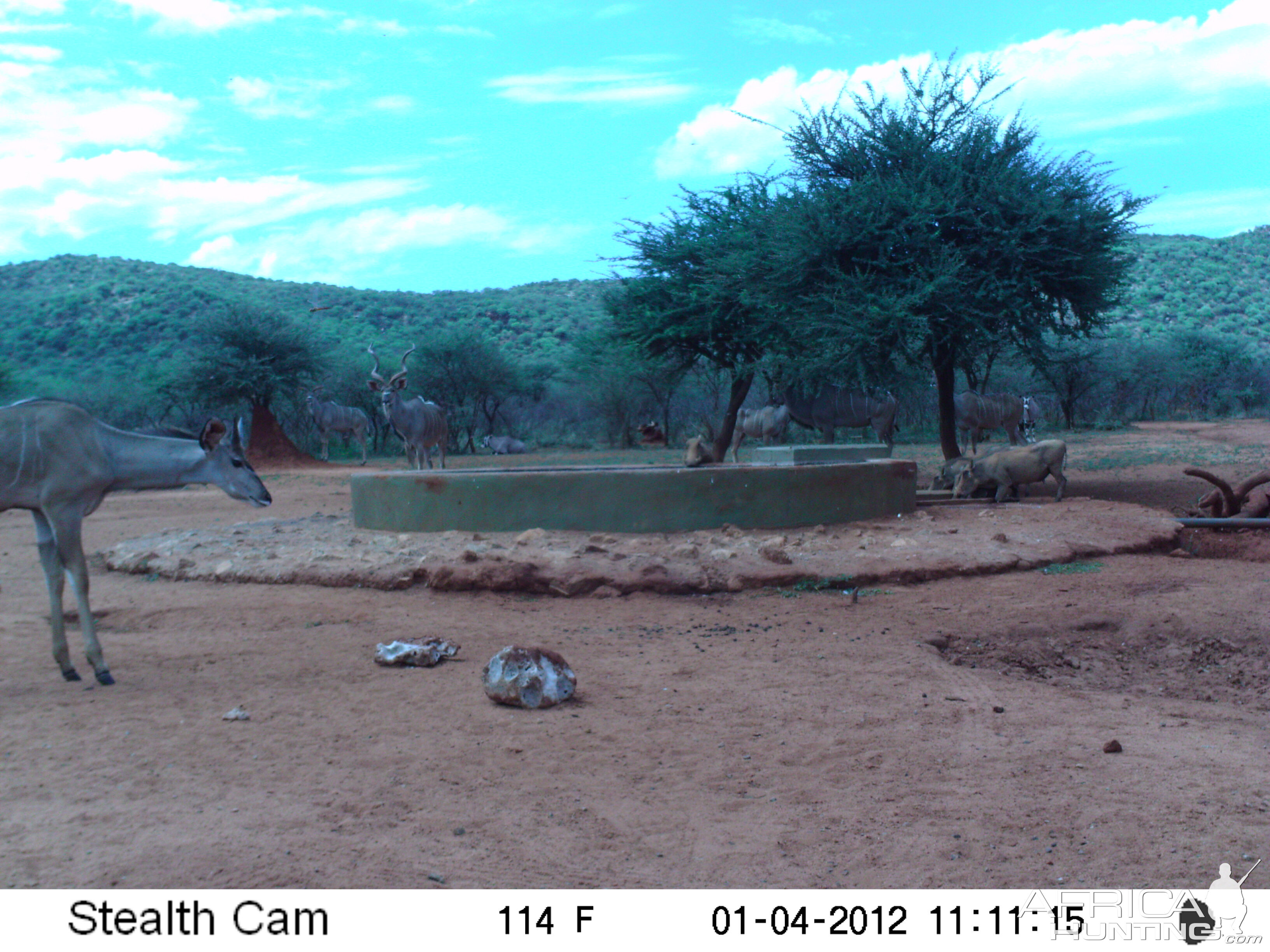 Trail Camera Namibia