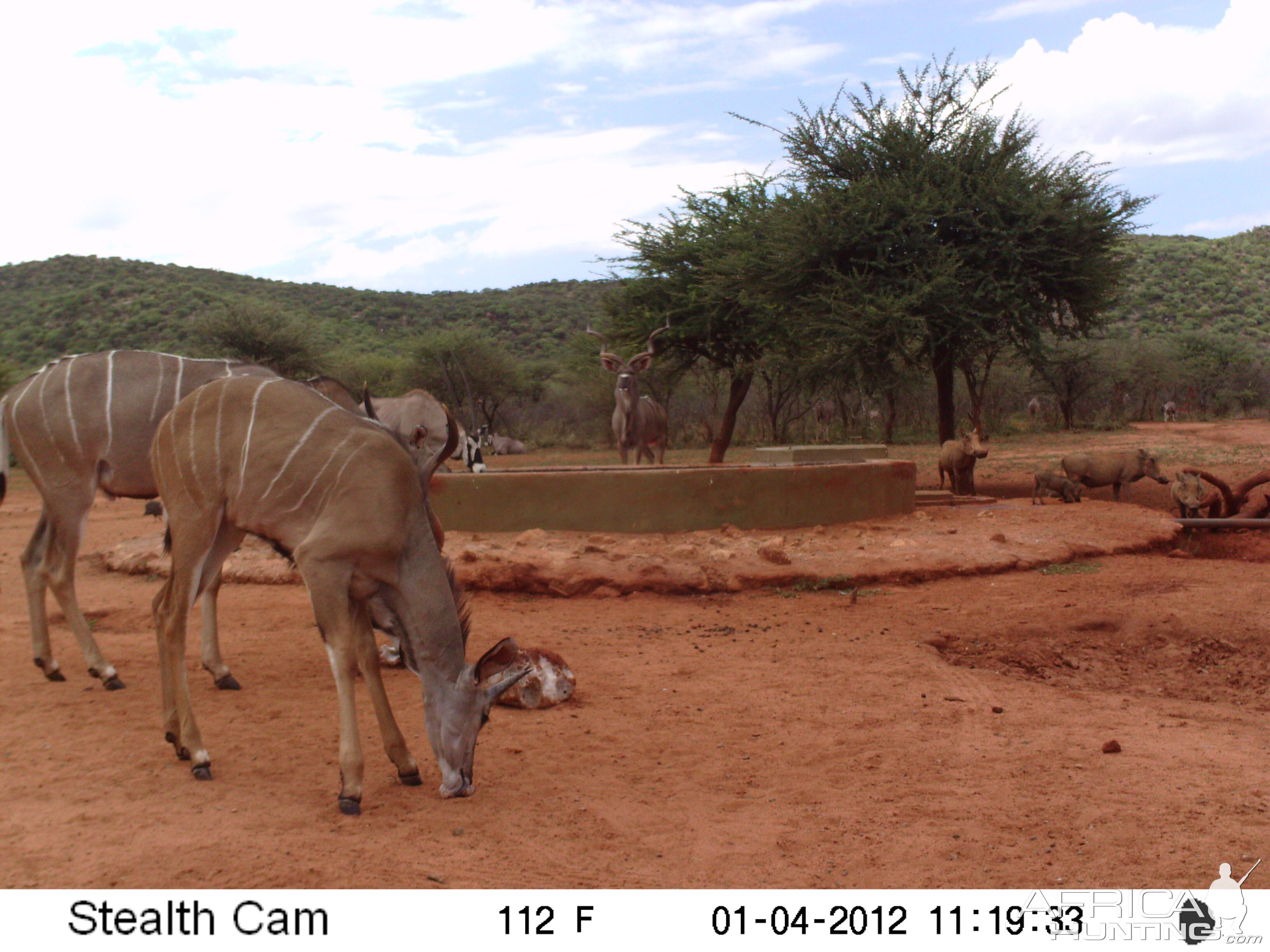 Trail Camera Namibia