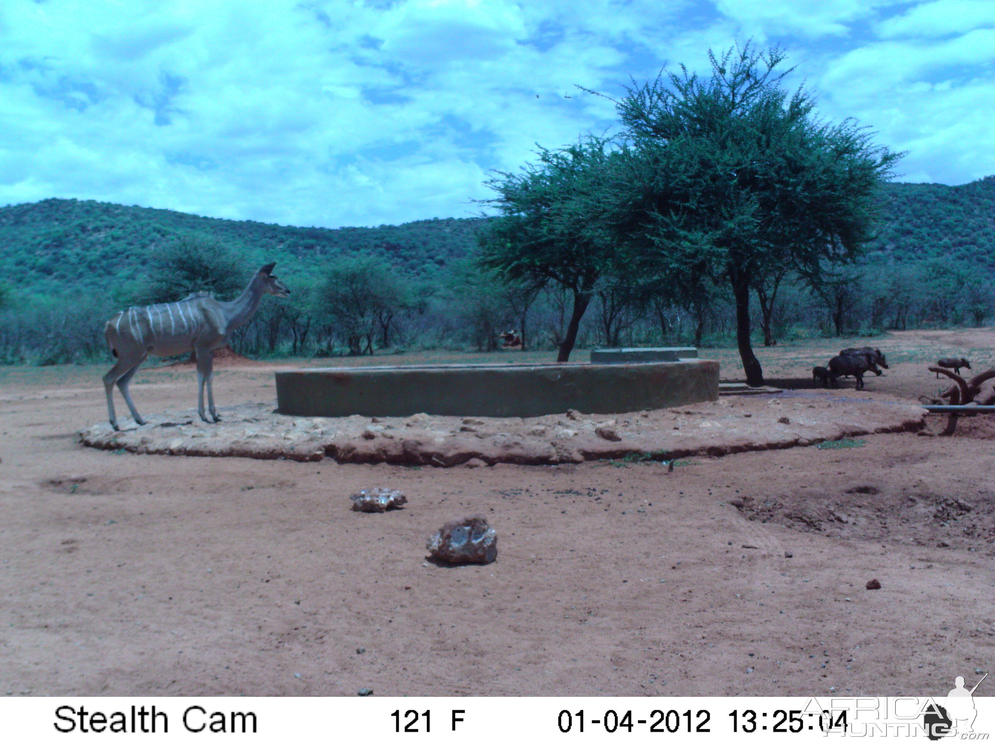 Trail Camera Namibia