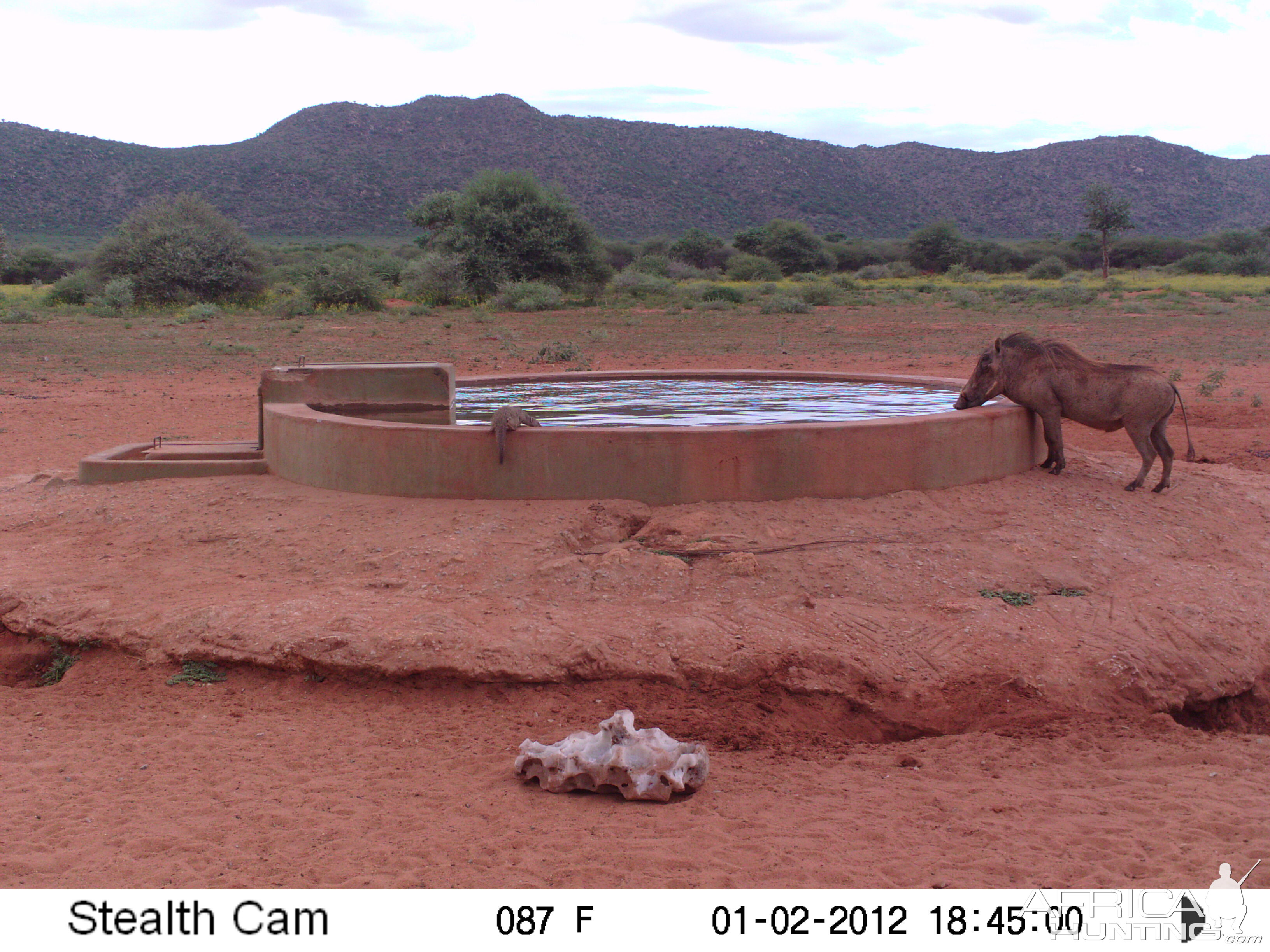 Trail Camera Namibia