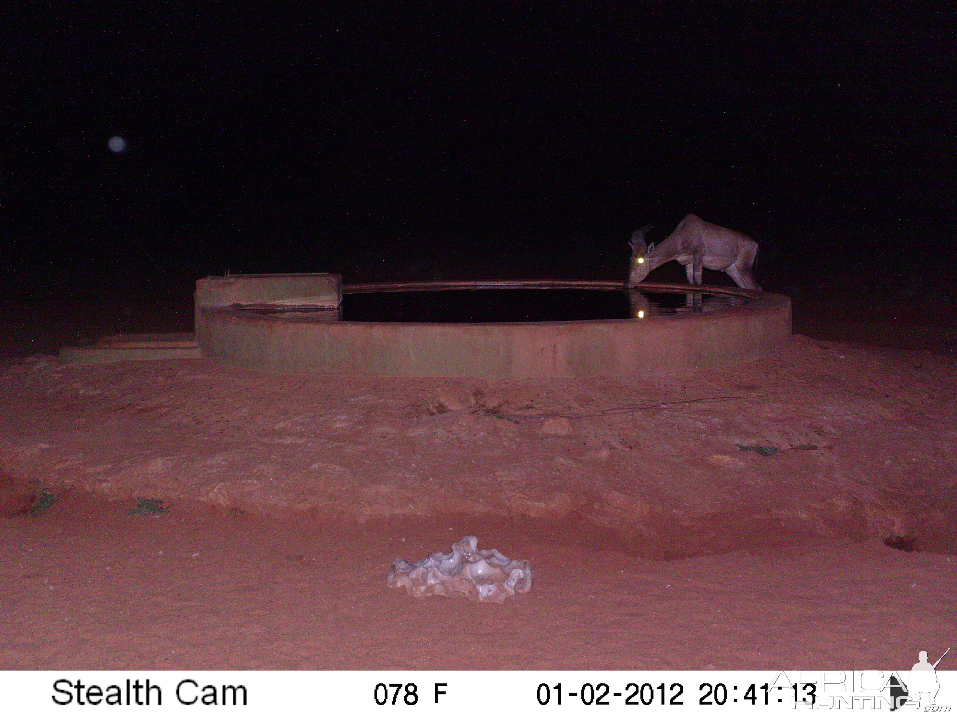 Trail Camera Namibia