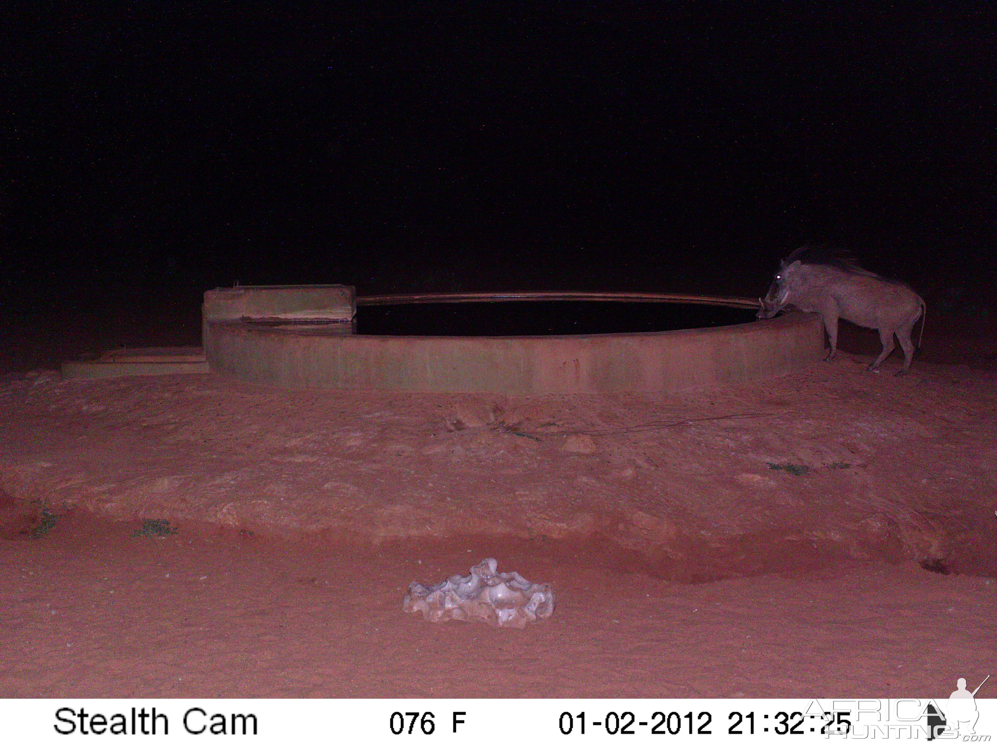 Trail Camera Namibia