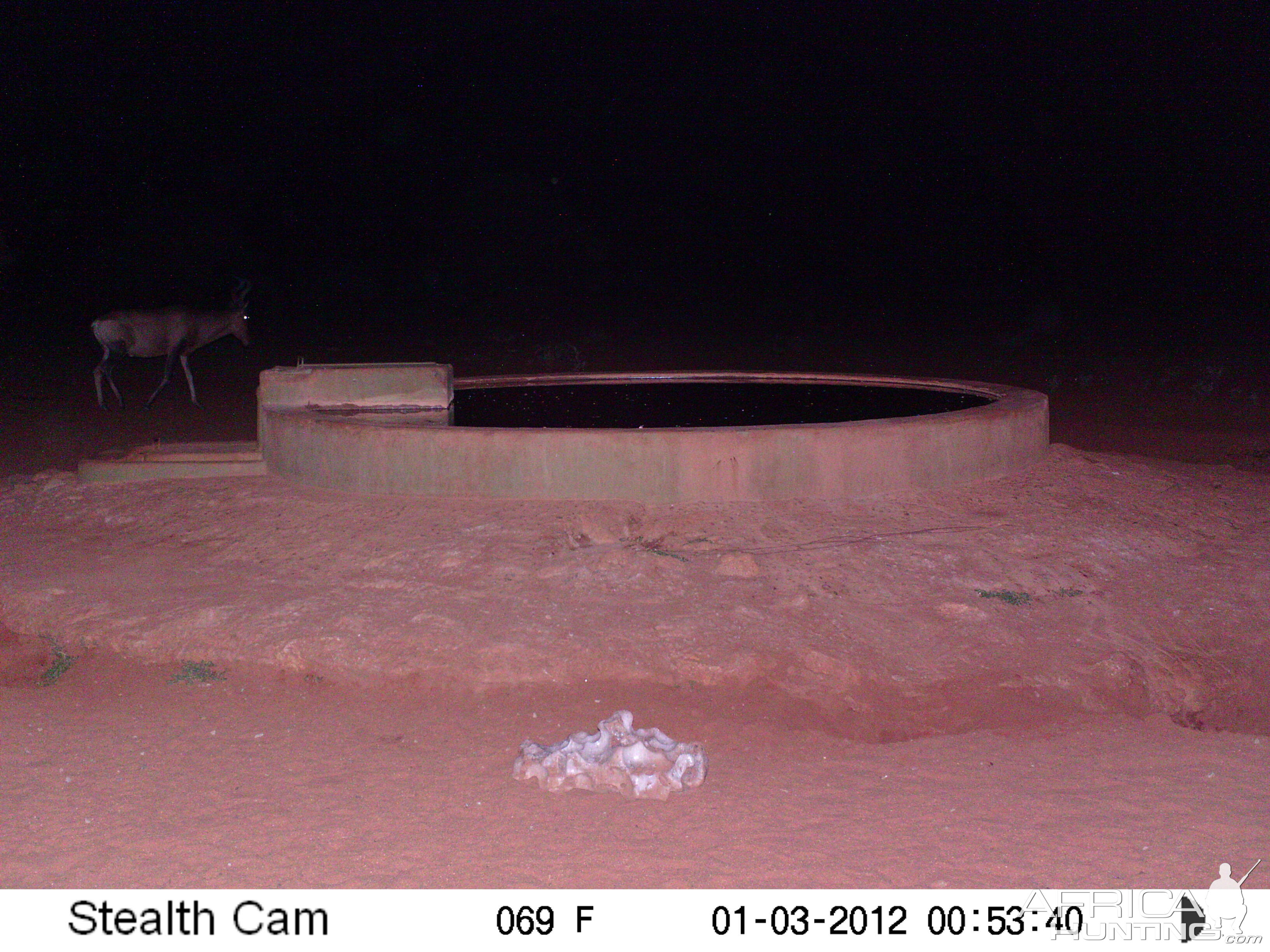 Trail Camera Namibia