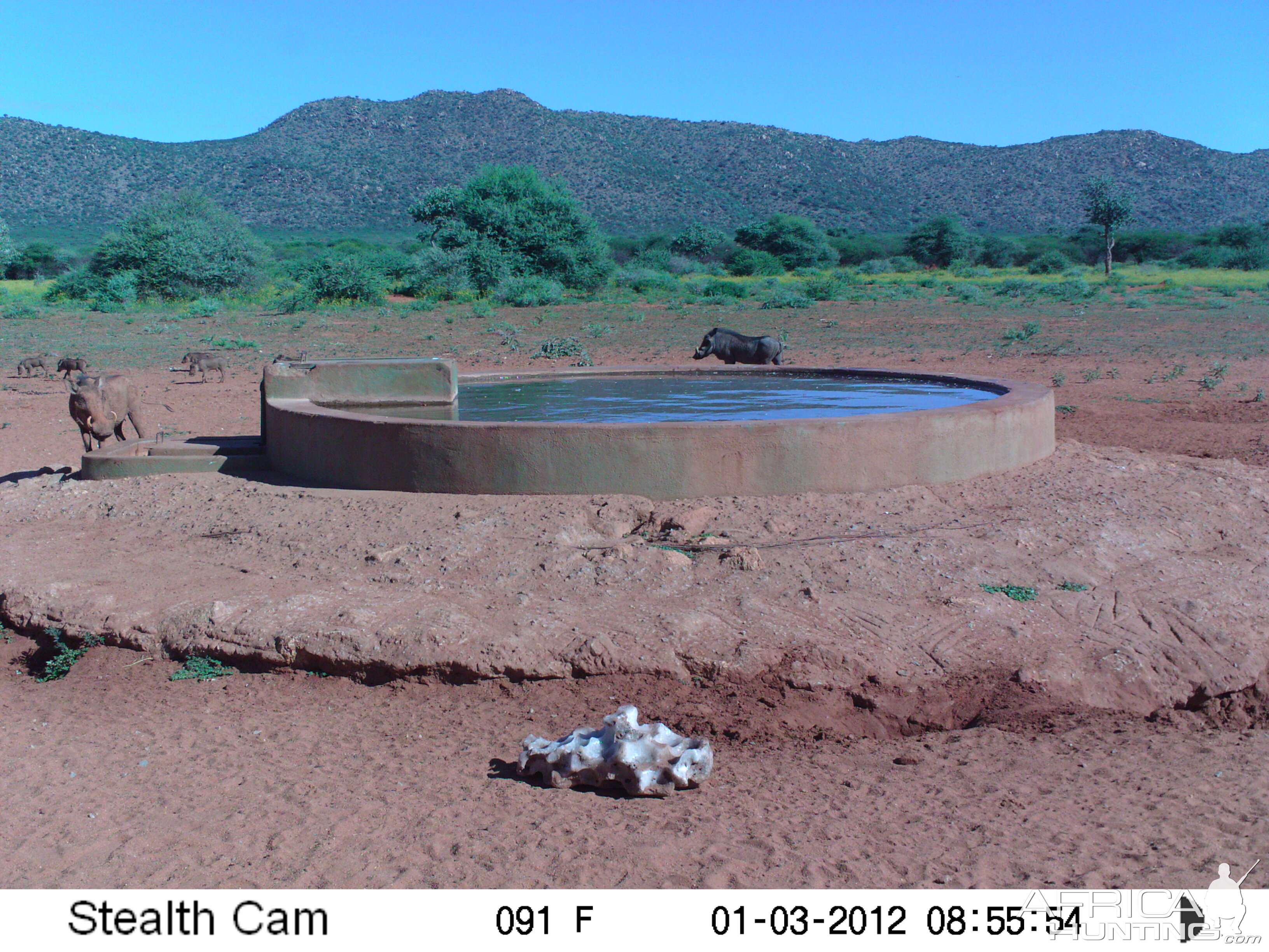 Trail Camera Namibia