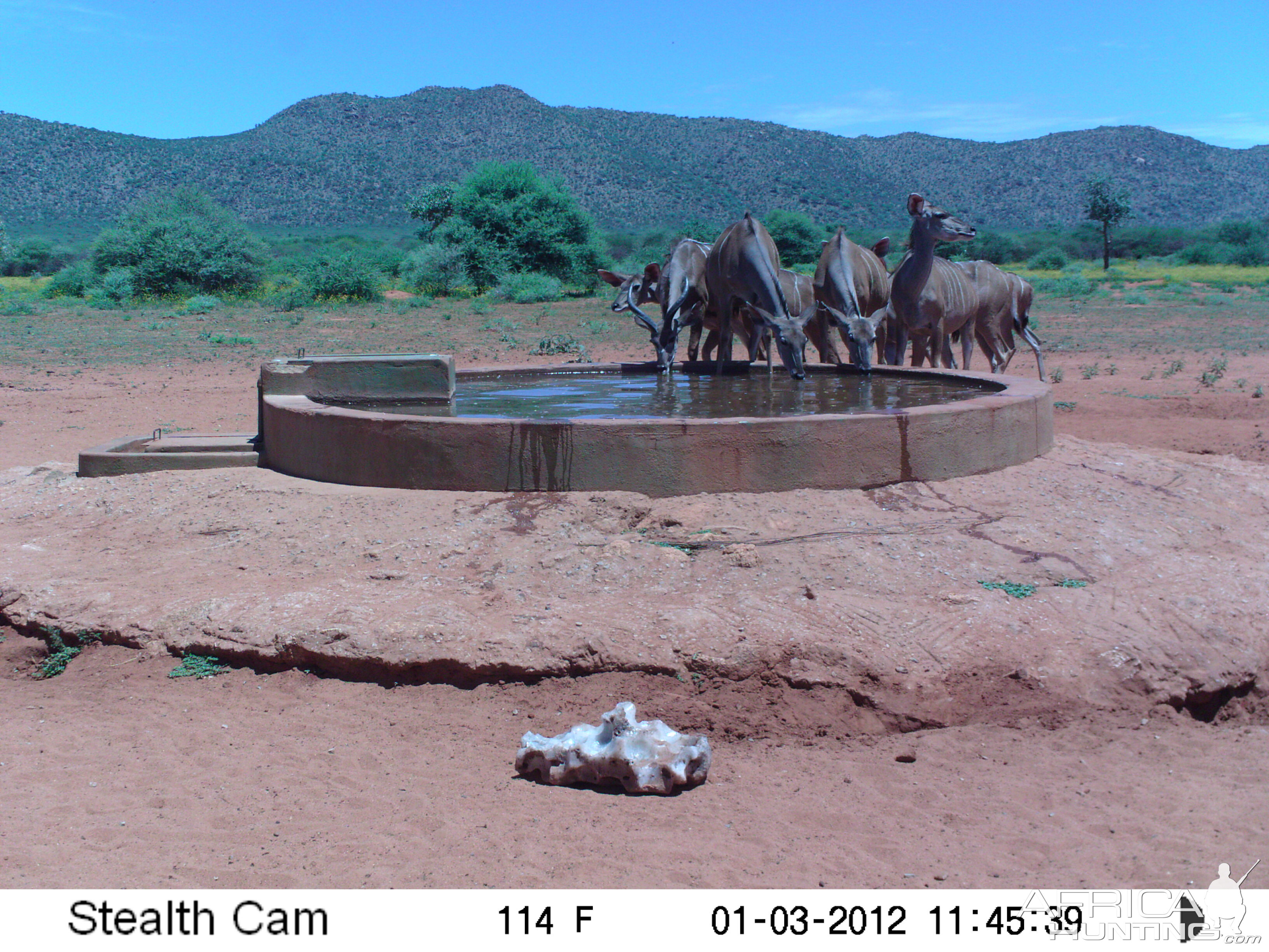 Trail Camera Namibia