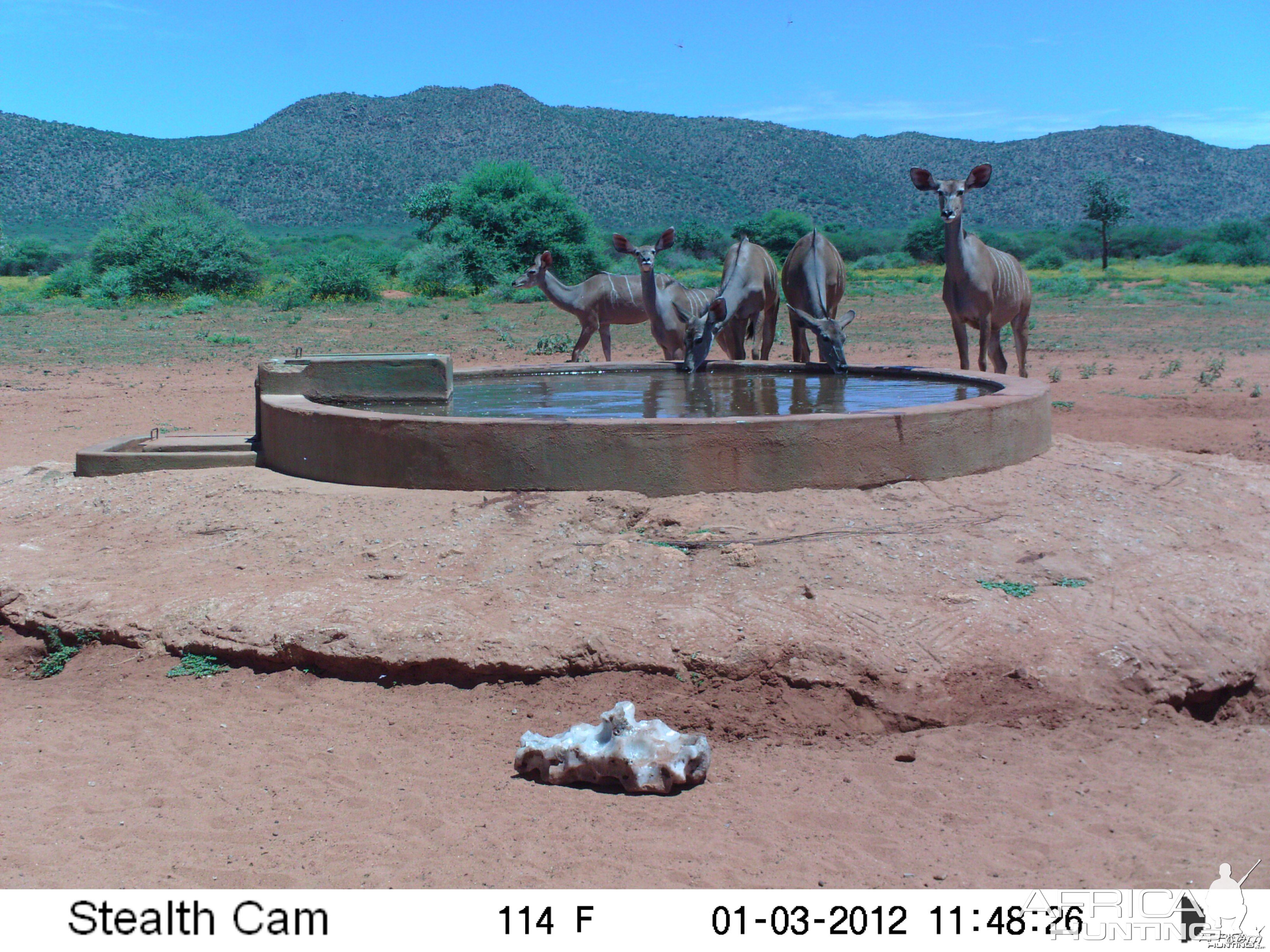 Trail Camera Namibia