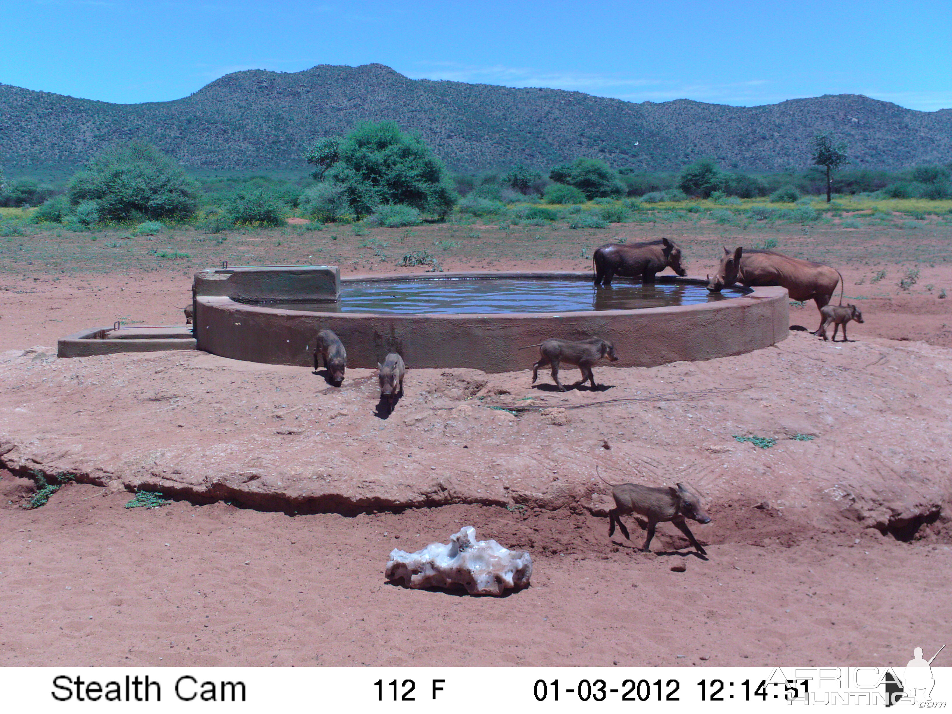 Trail Camera Namibia