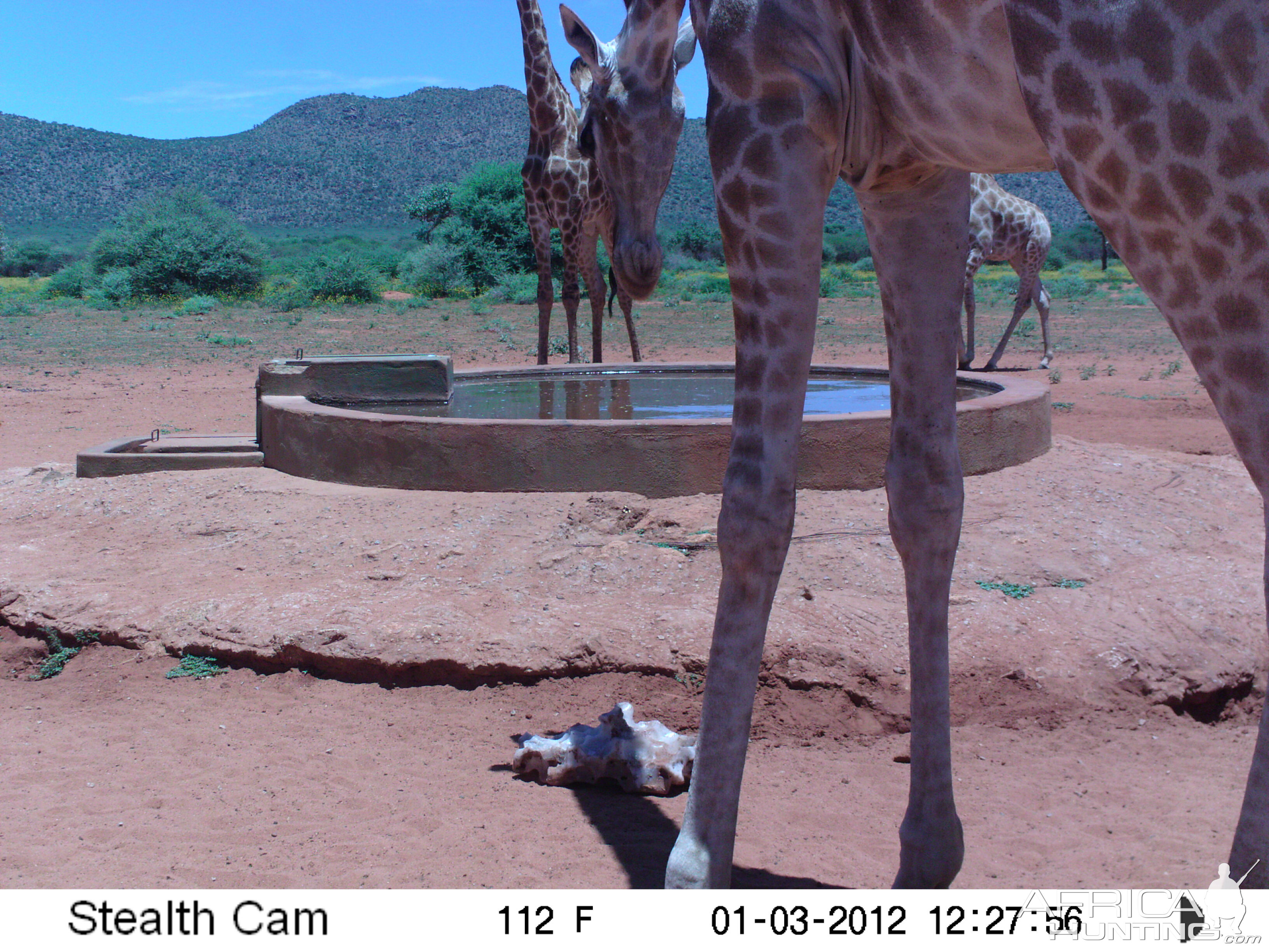 Trail Camera Namibia