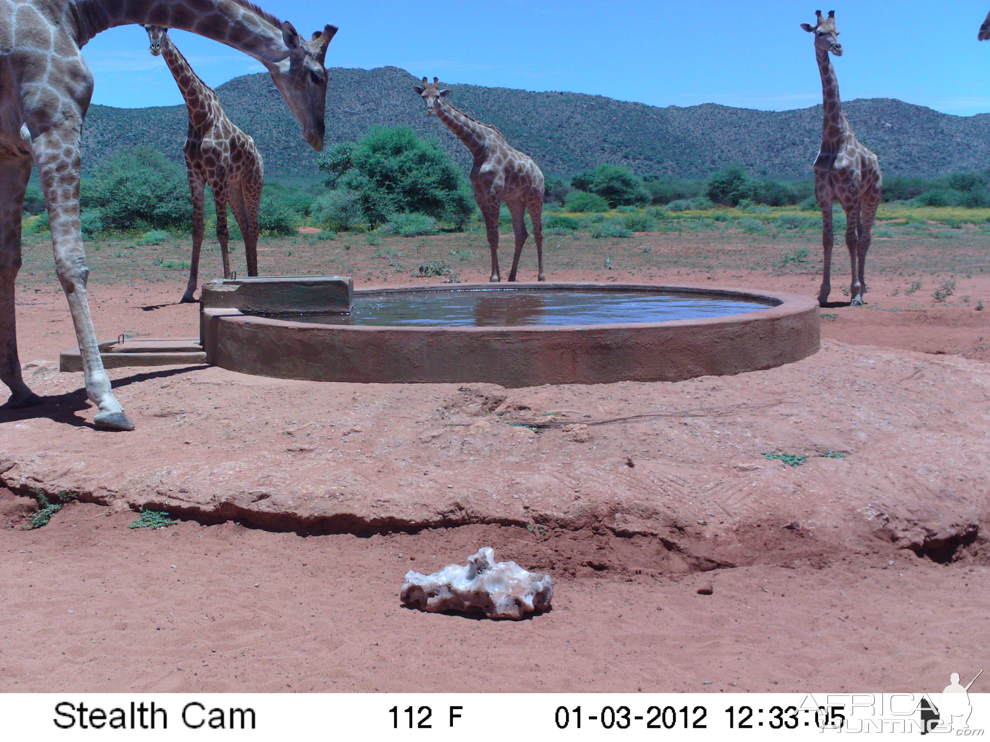 Trail Camera Namibia