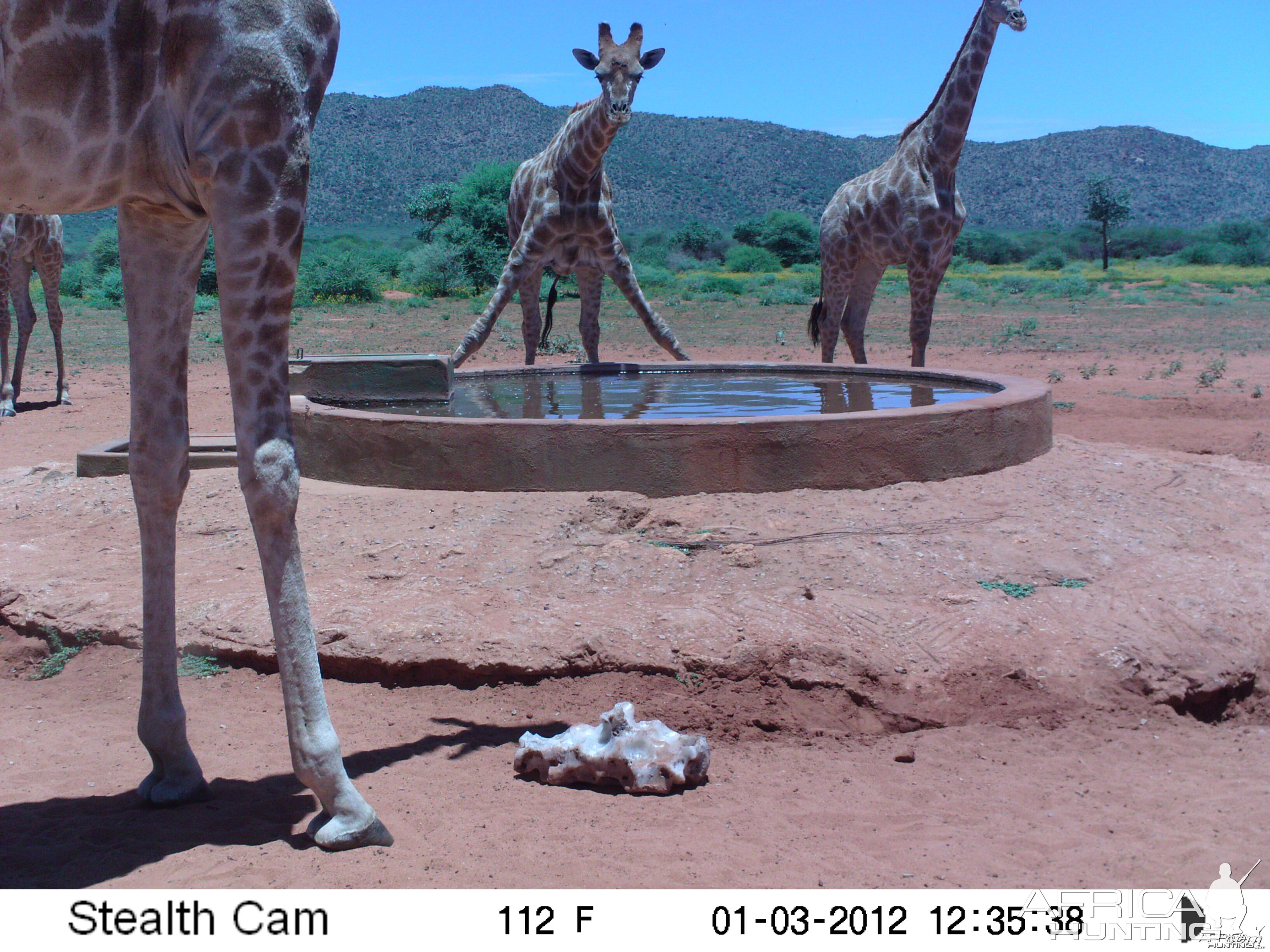 Trail Camera Namibia