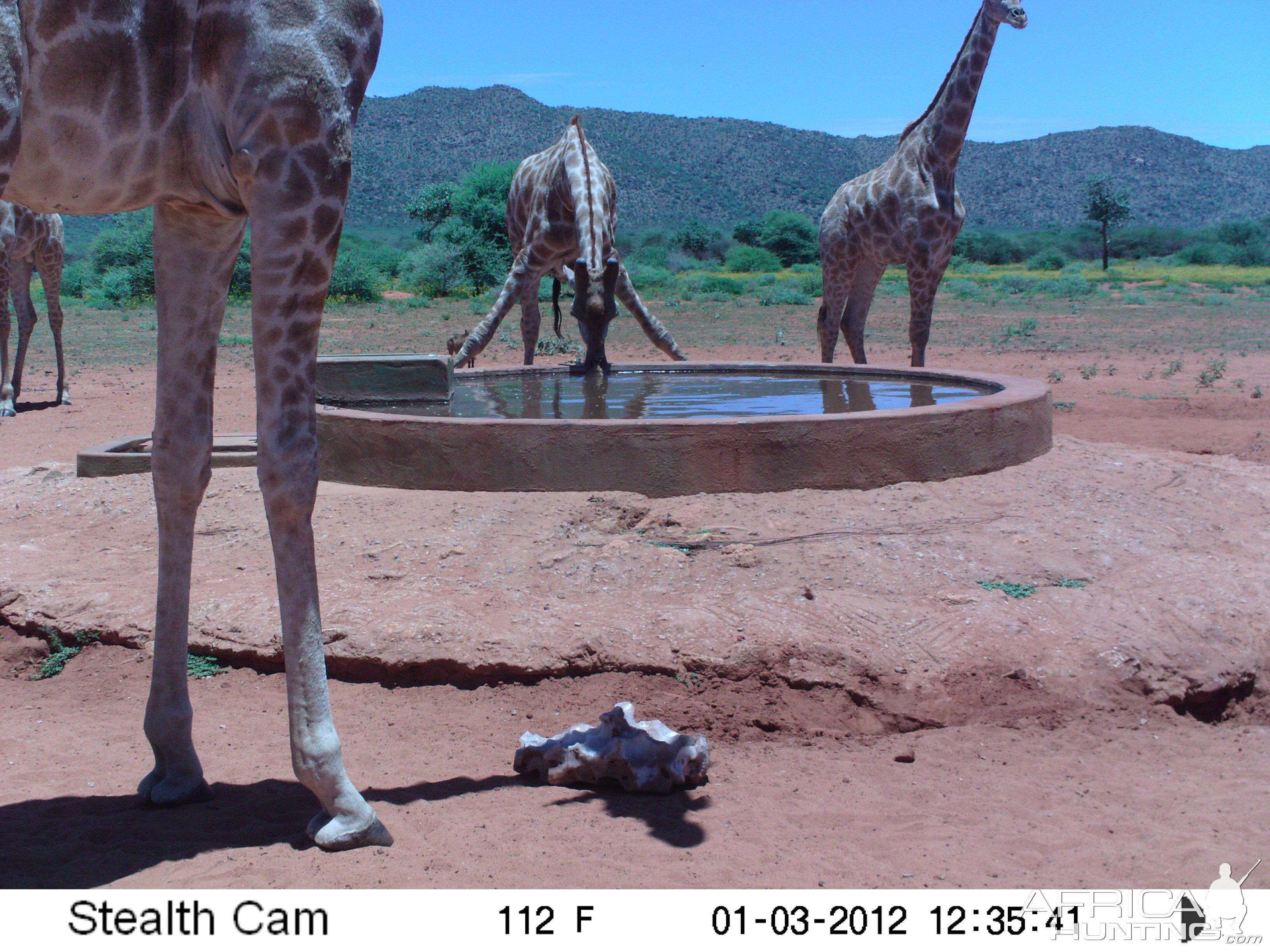 Trail Camera Namibia