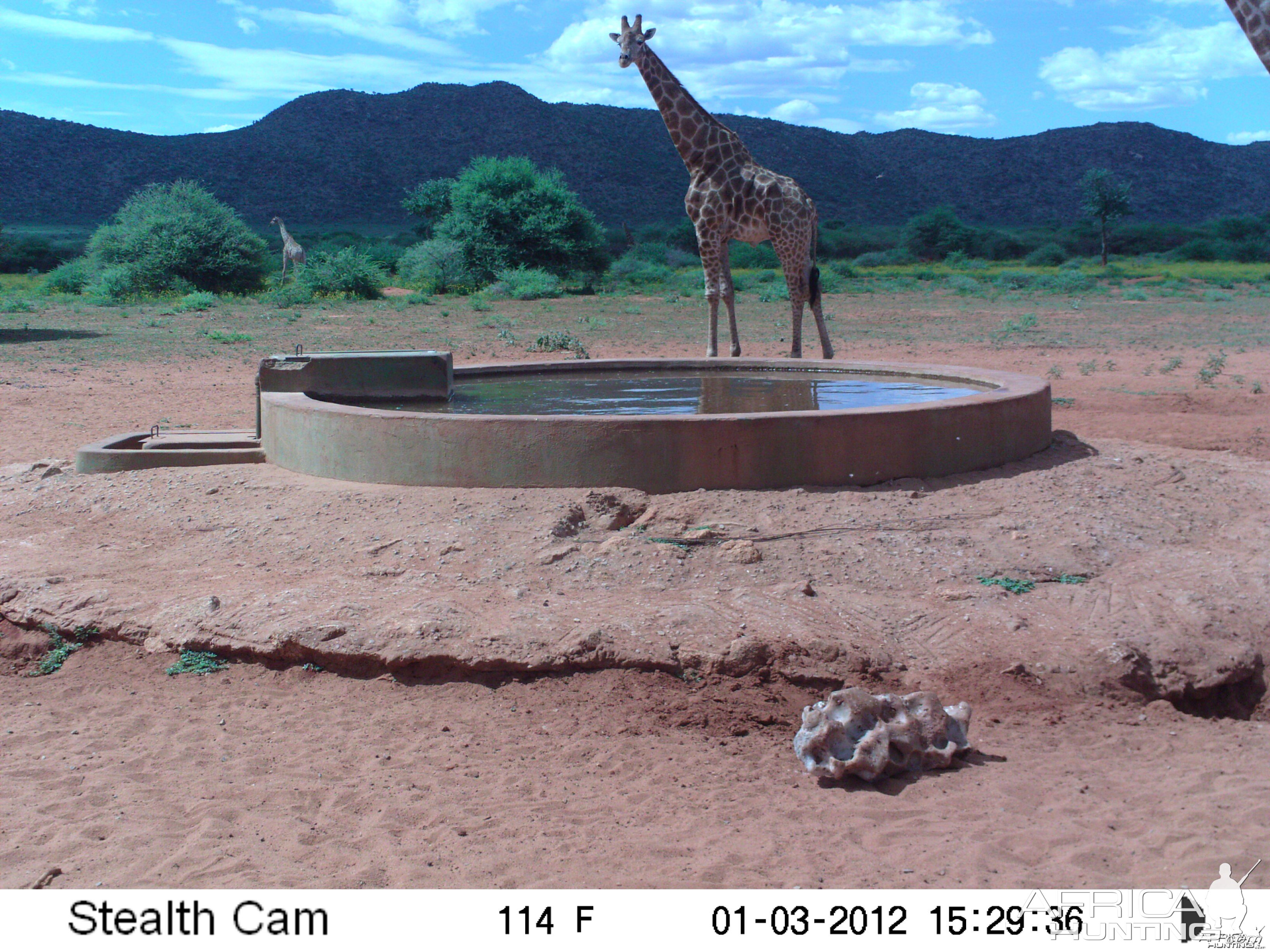 Trail Camera Namibia