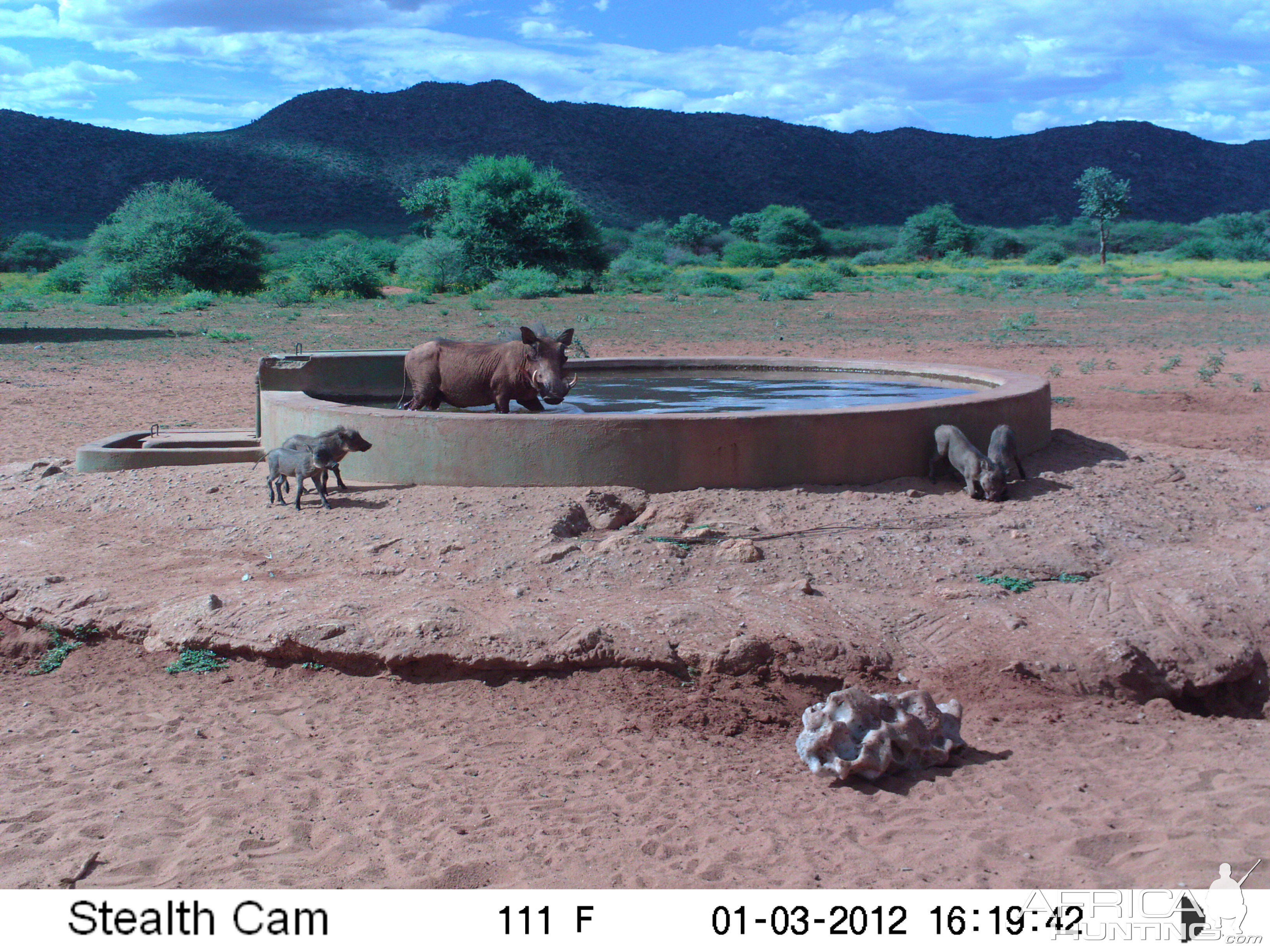 Trail Camera Namibia