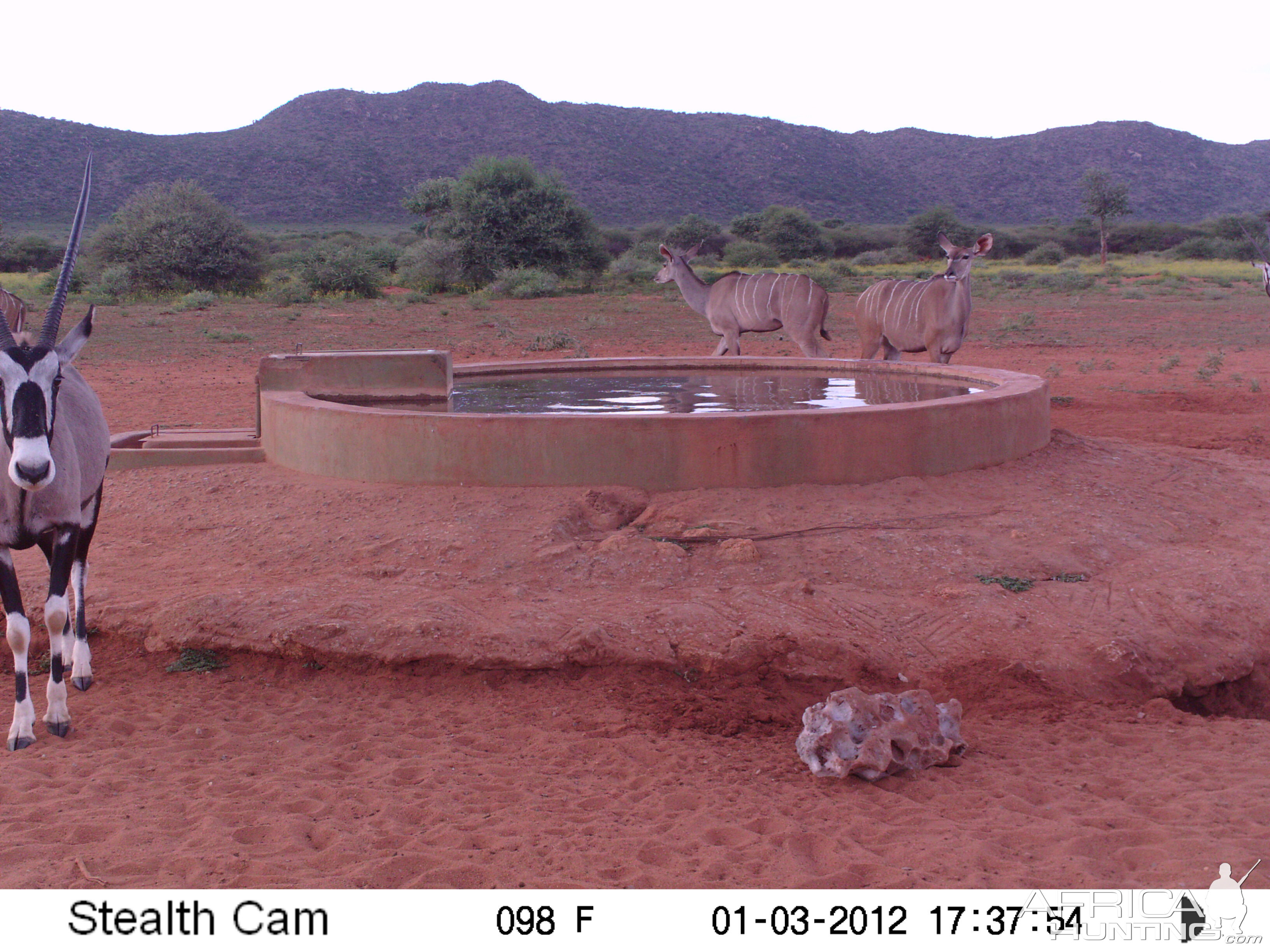 Trail Camera Namibia