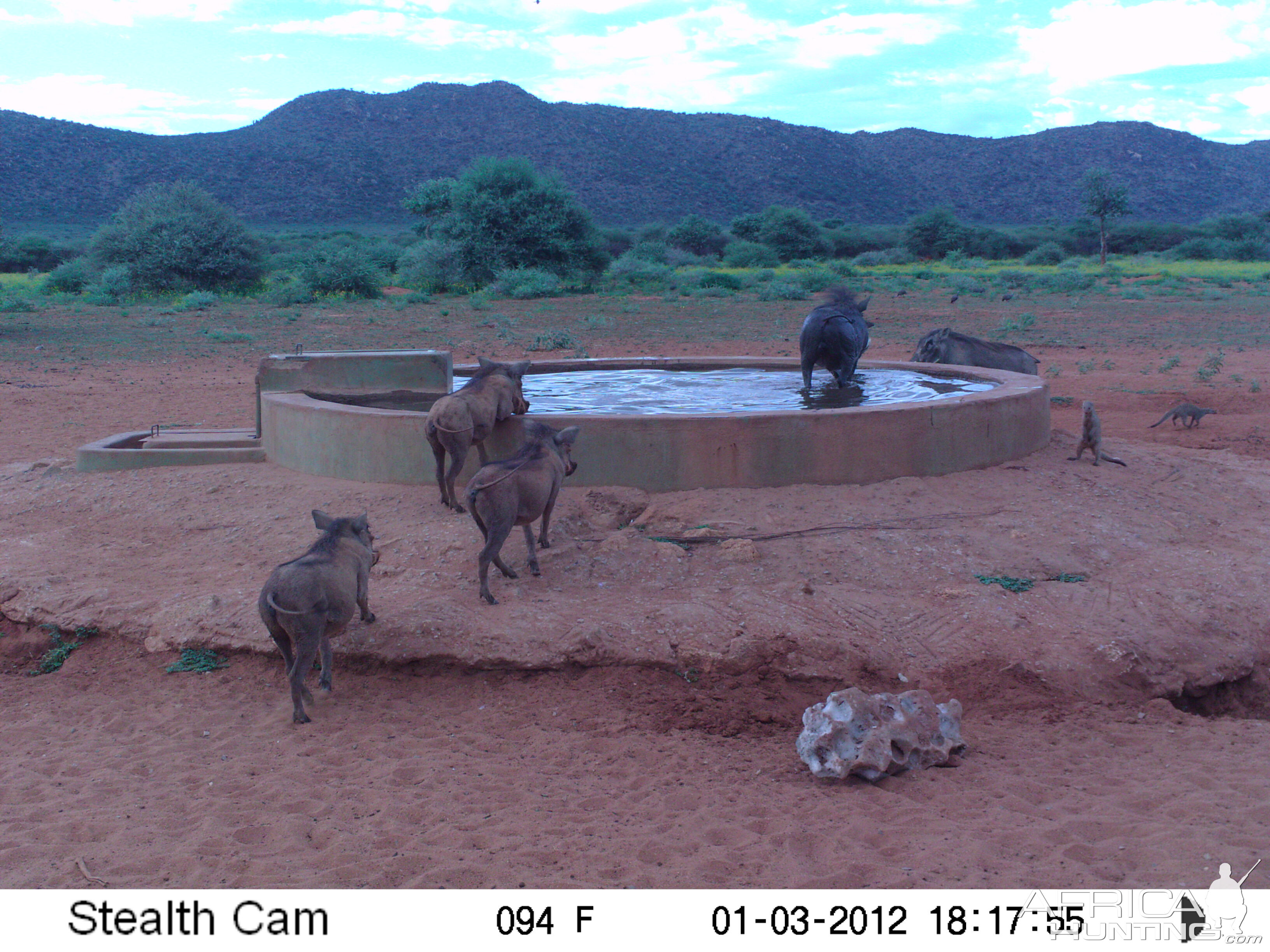 Trail Camera Namibia