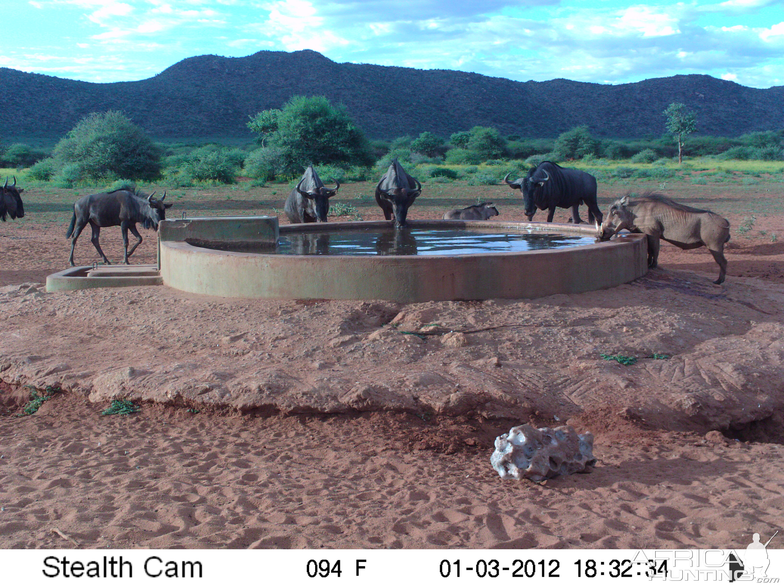 Trail Camera Namibia