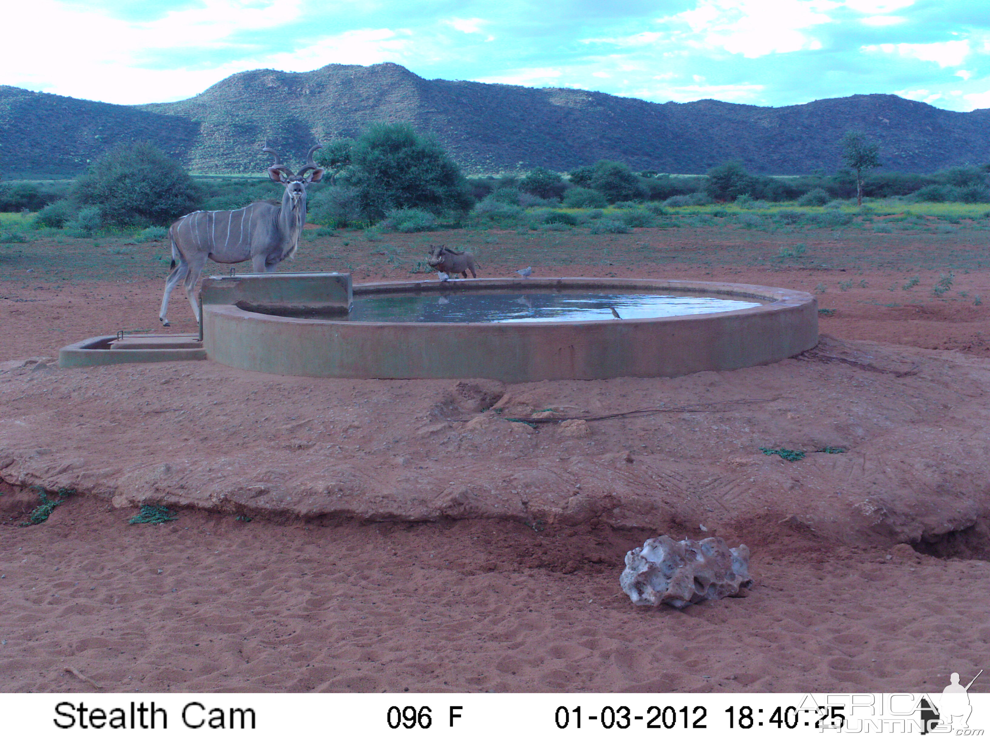 Trail Camera Namibia