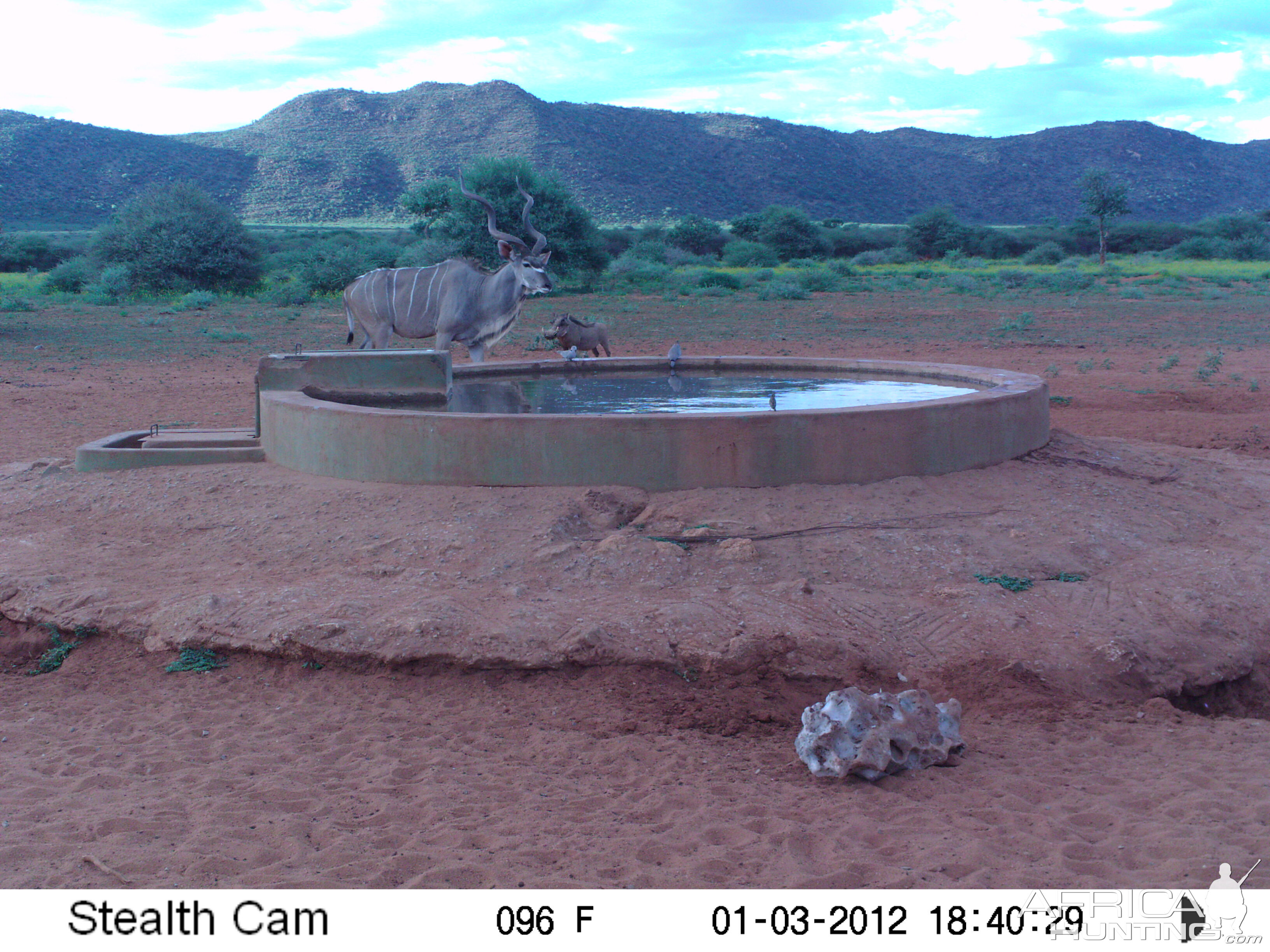 Trail Camera Namibia