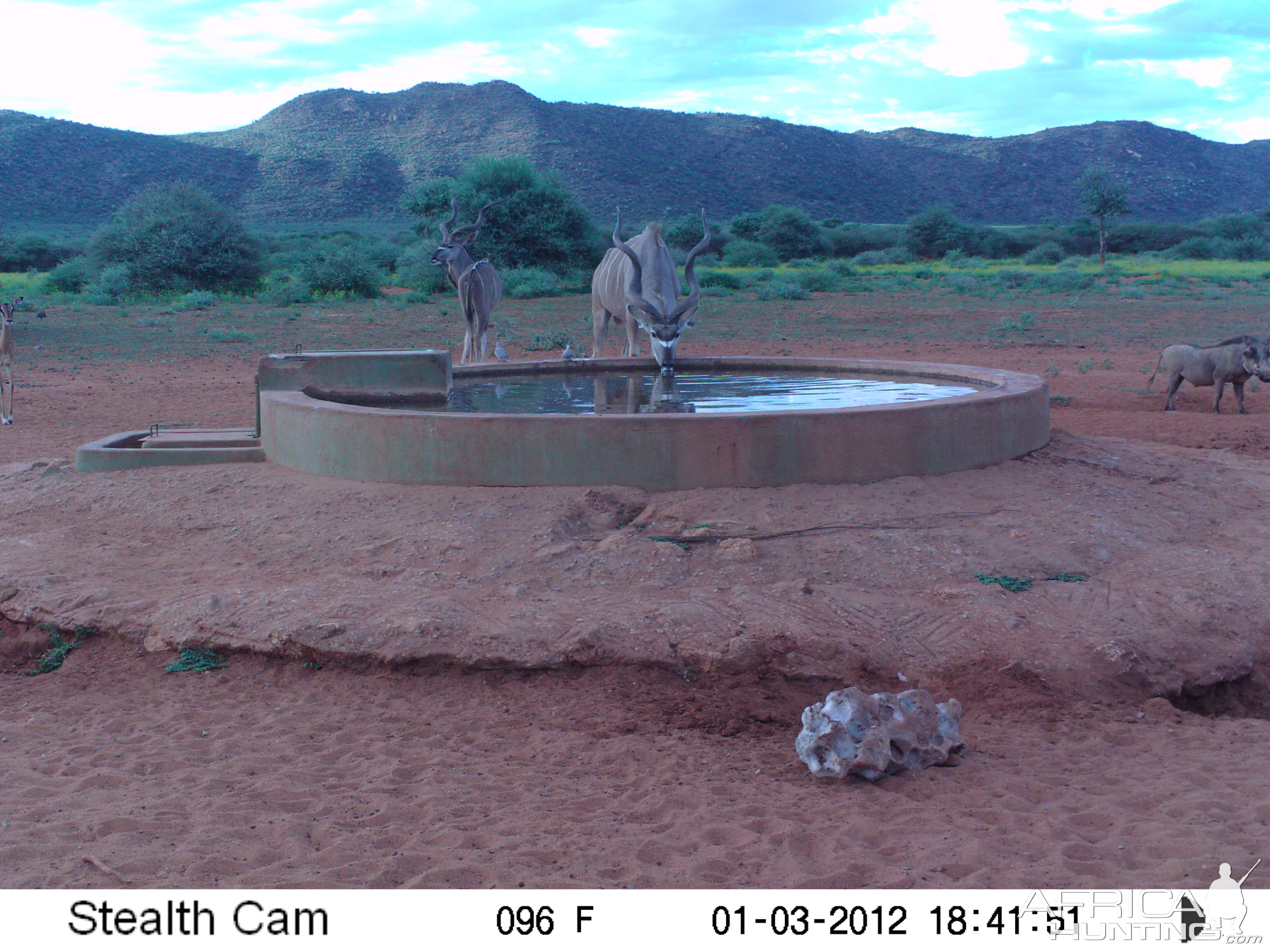 Trail Camera Namibia