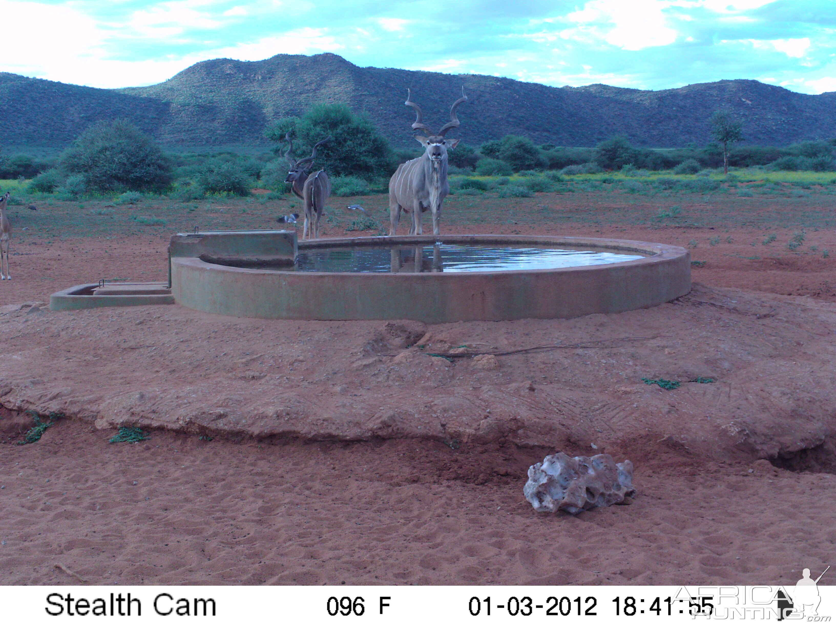 Trail Camera Namibia