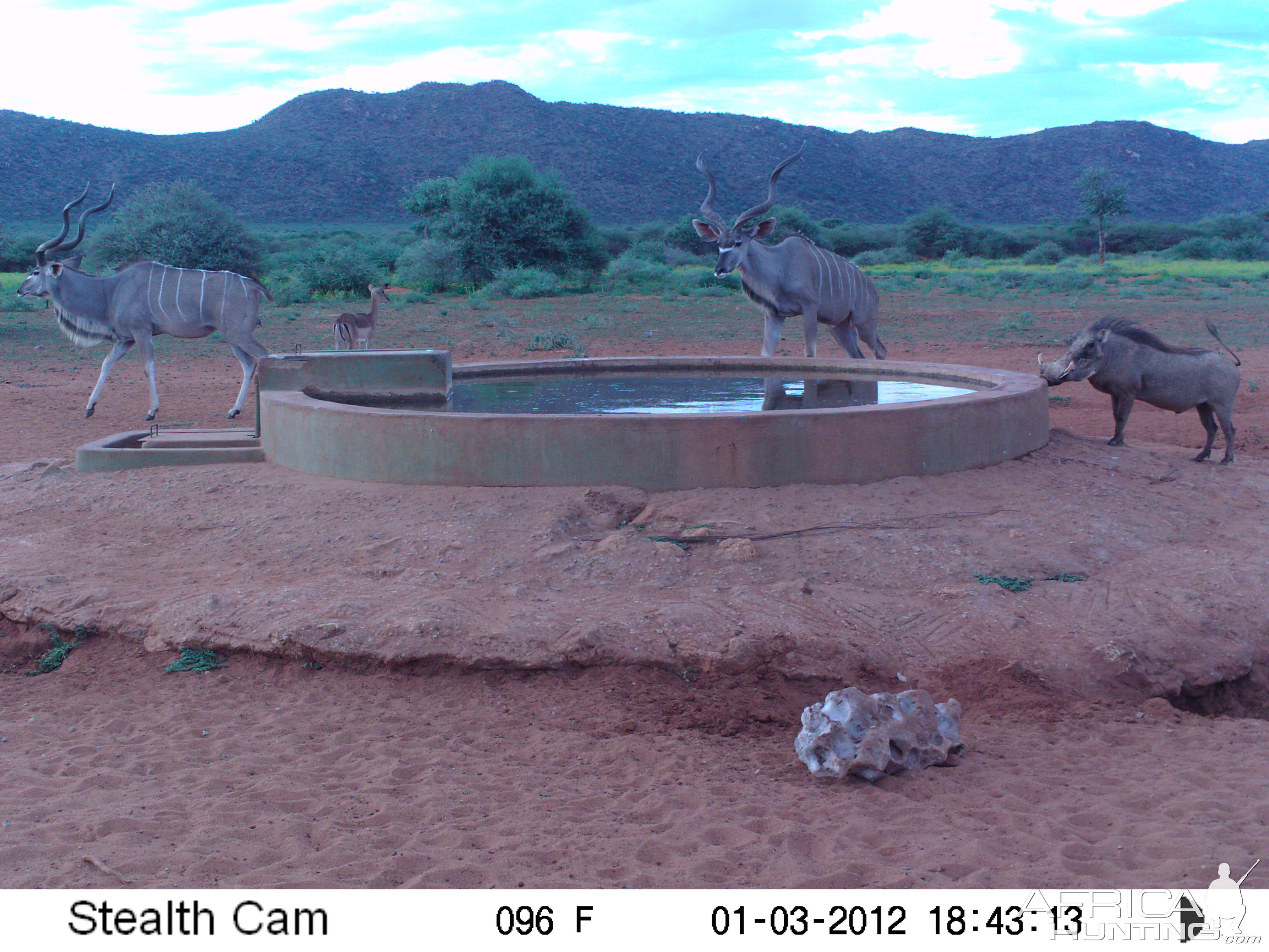 Trail Camera Namibia