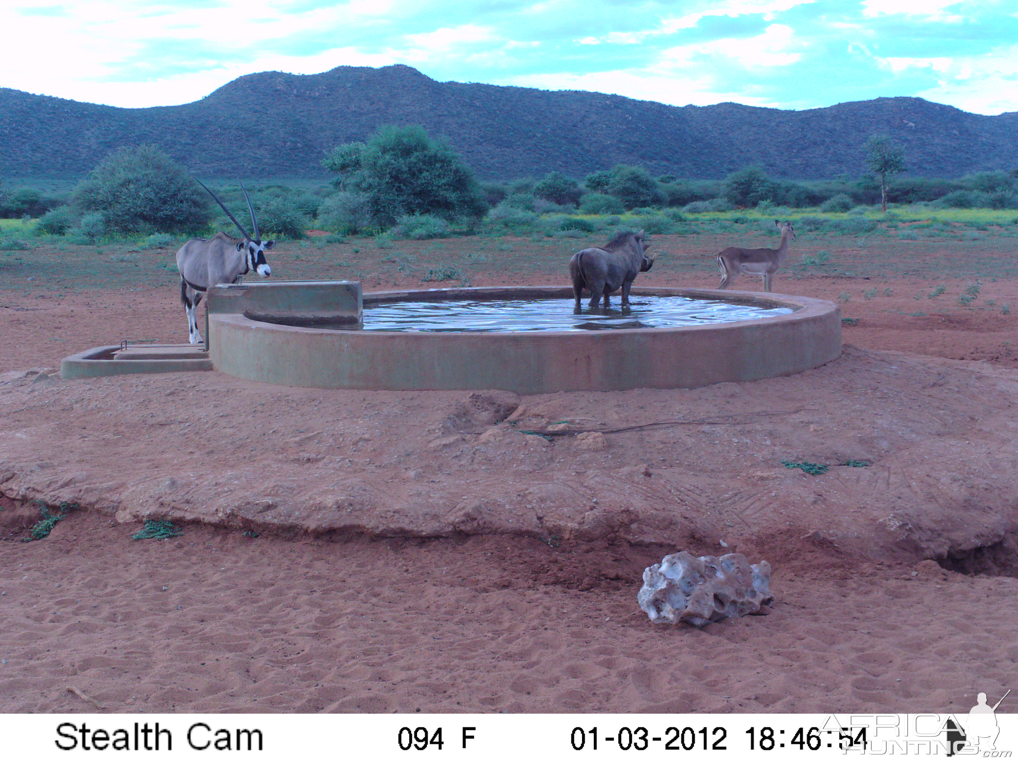 Trail Camera Namibia