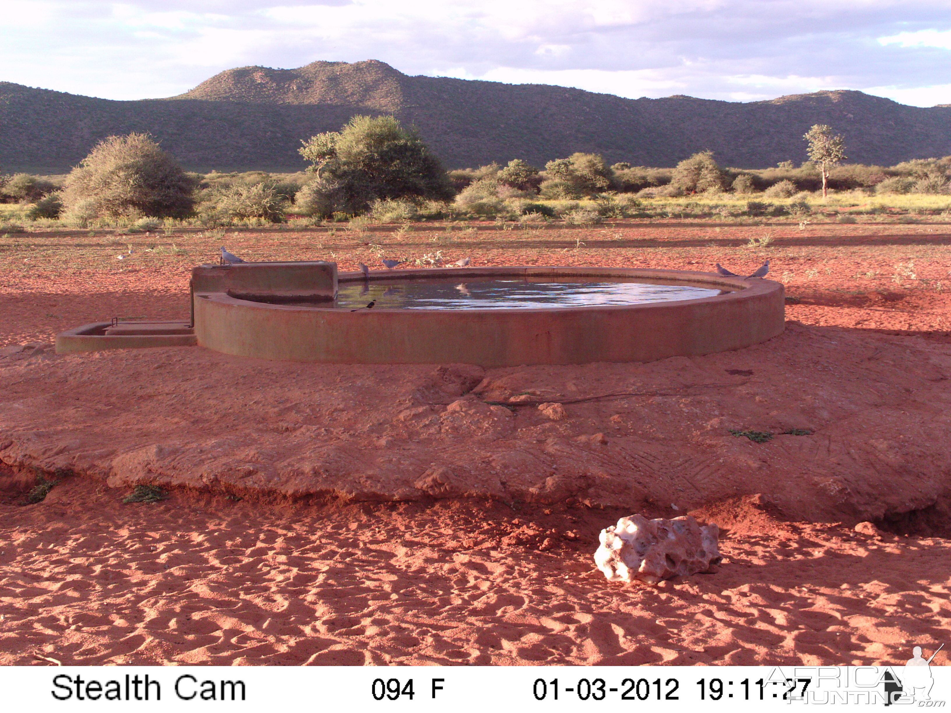 Trail Camera Namibia