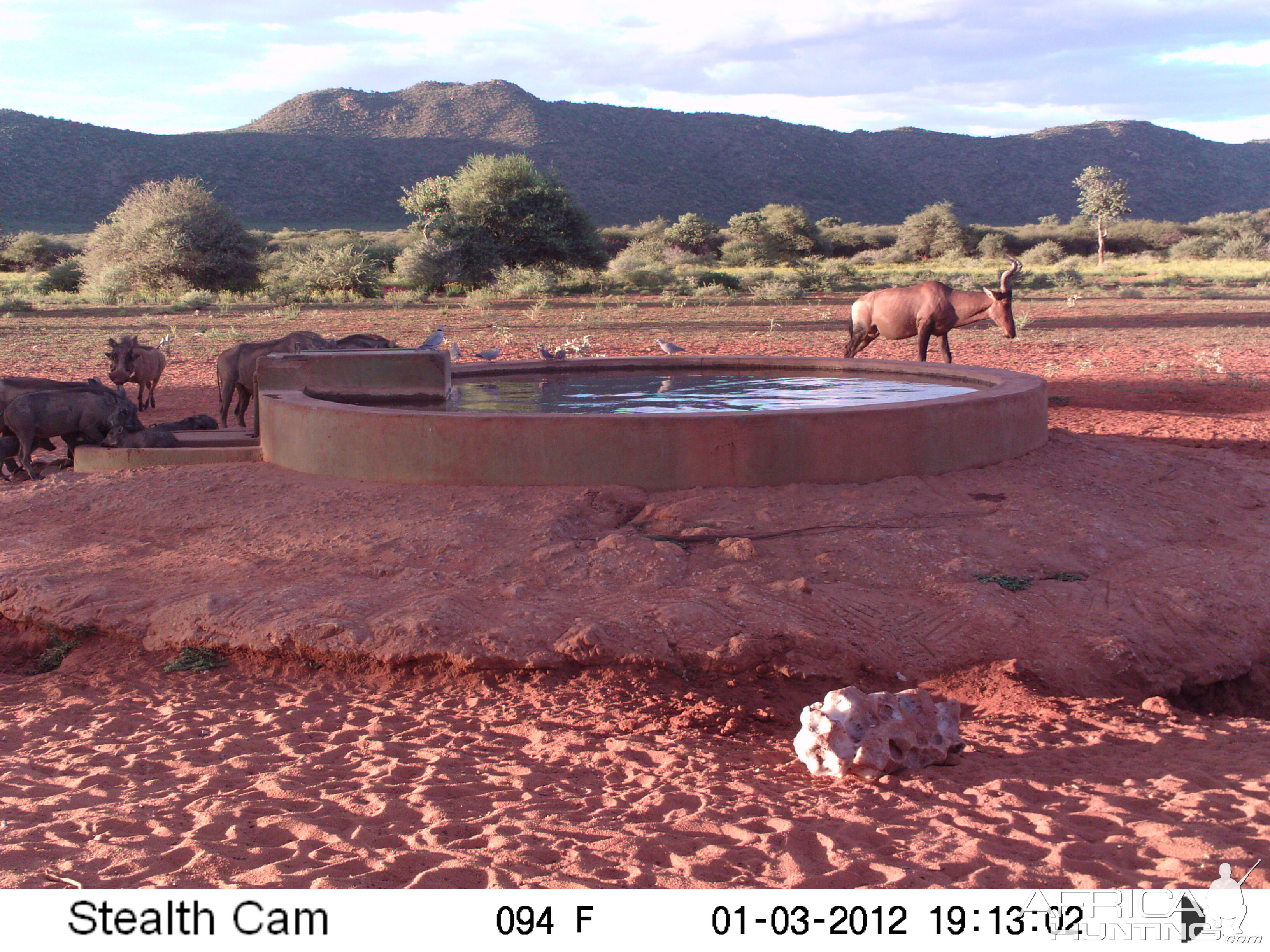 Trail Camera Namibia