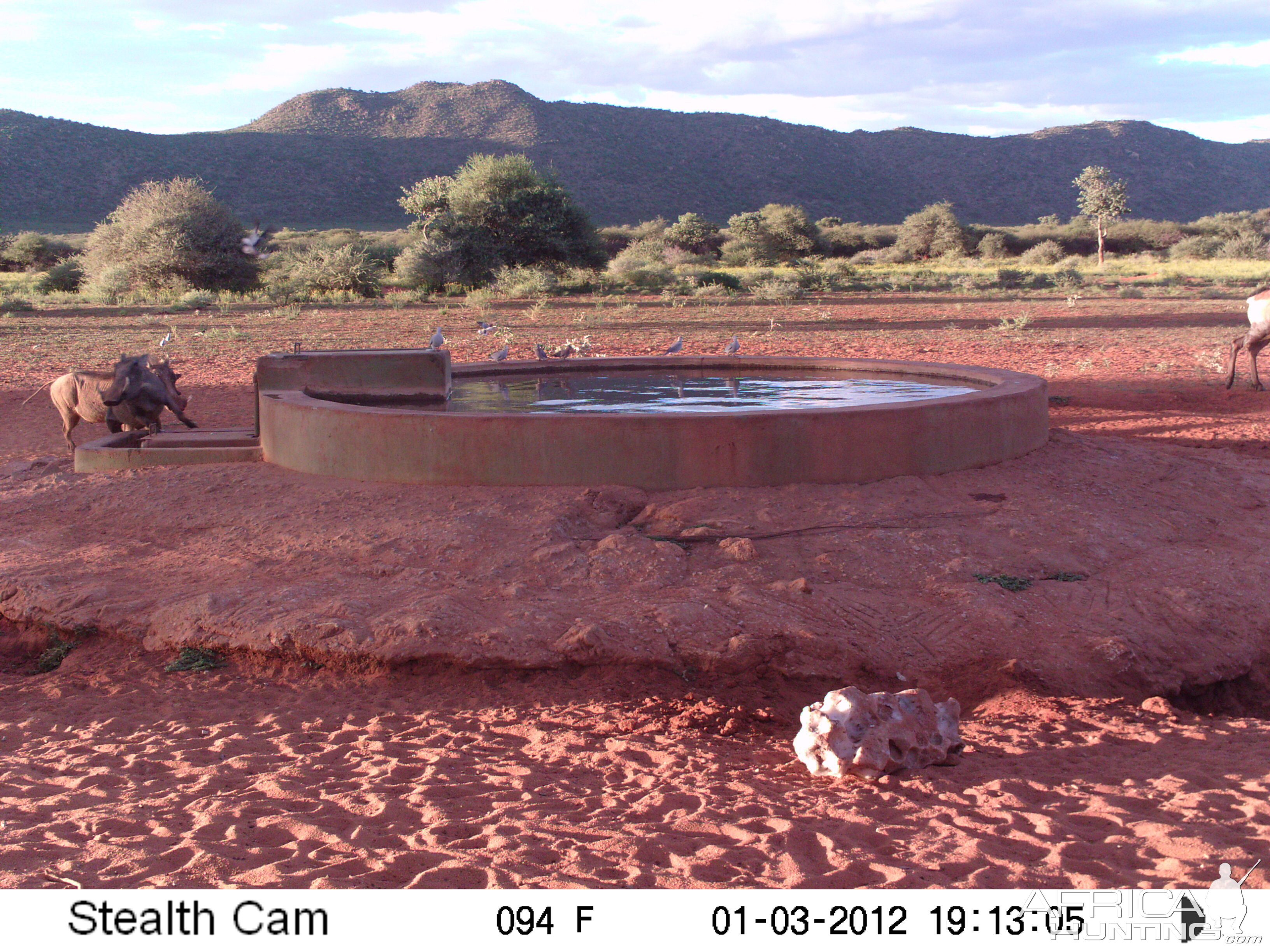 Trail Camera Namibia