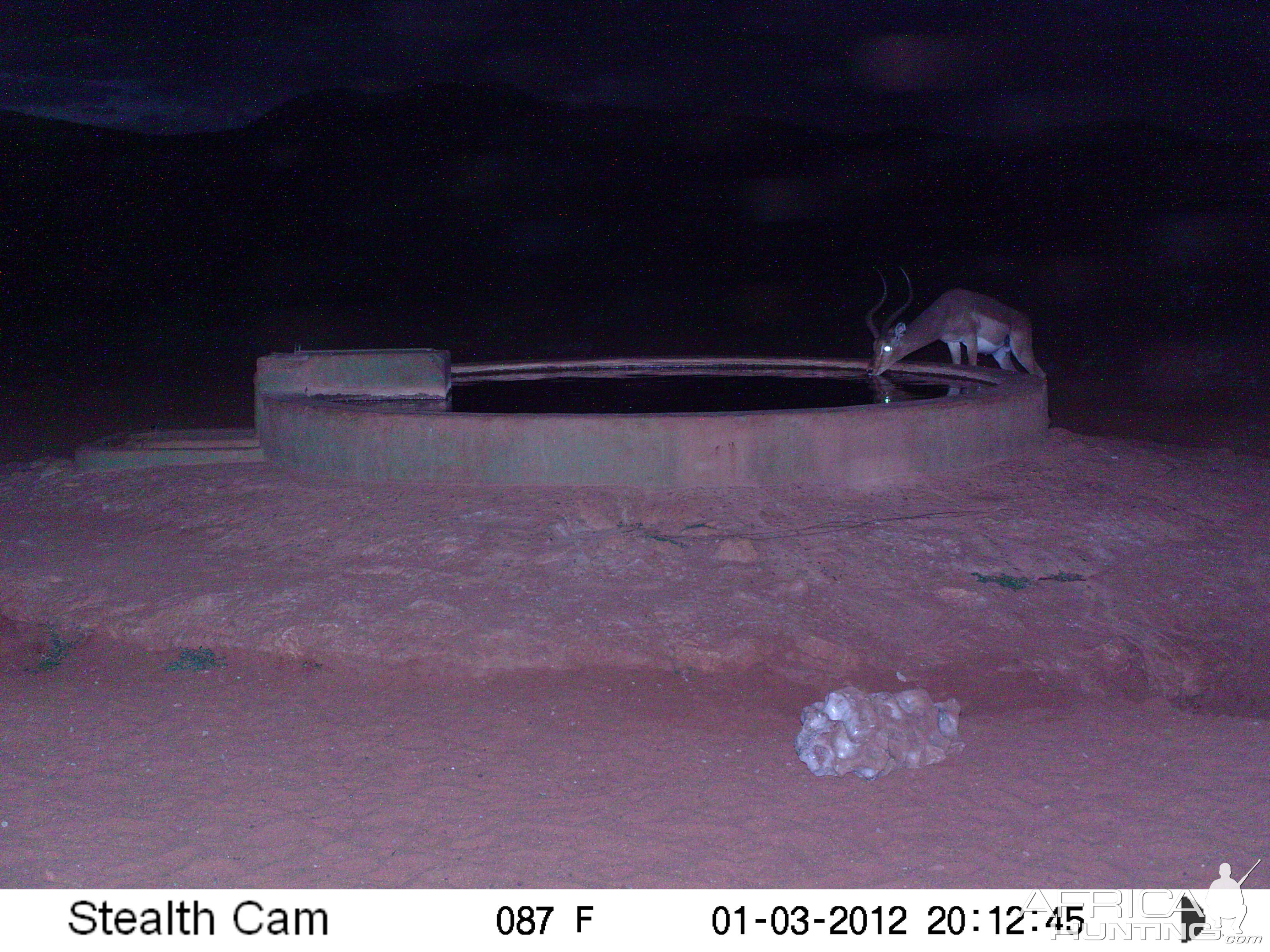 Trail Camera Namibia