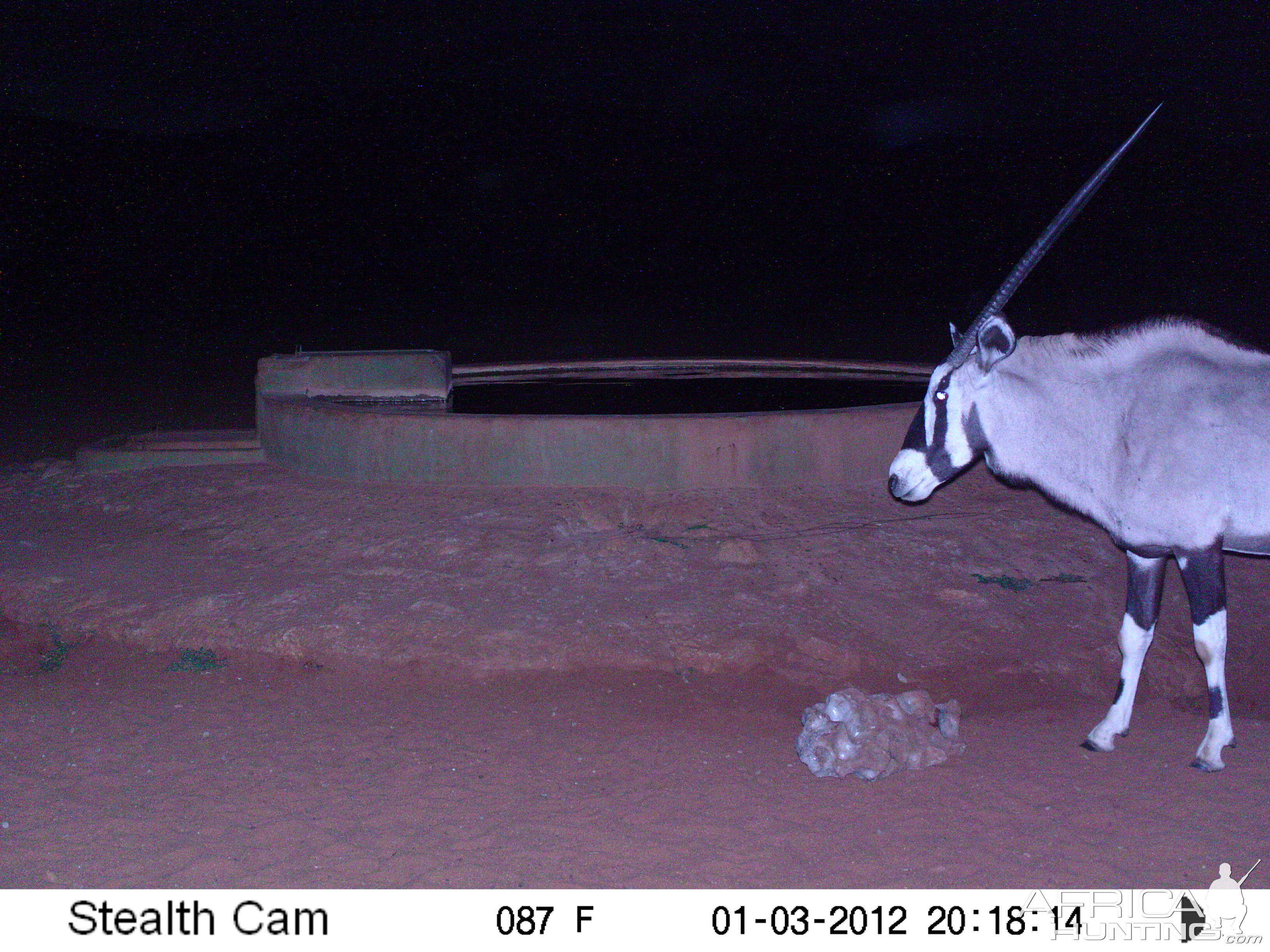 Trail Camera Namibia