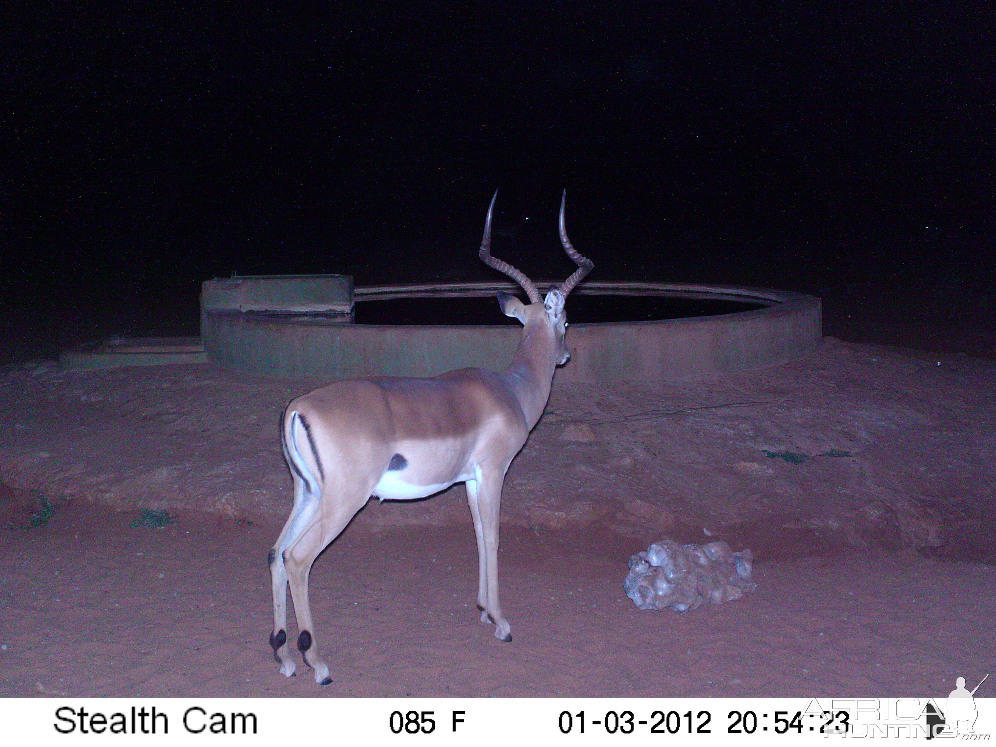 Trail Camera Namibia