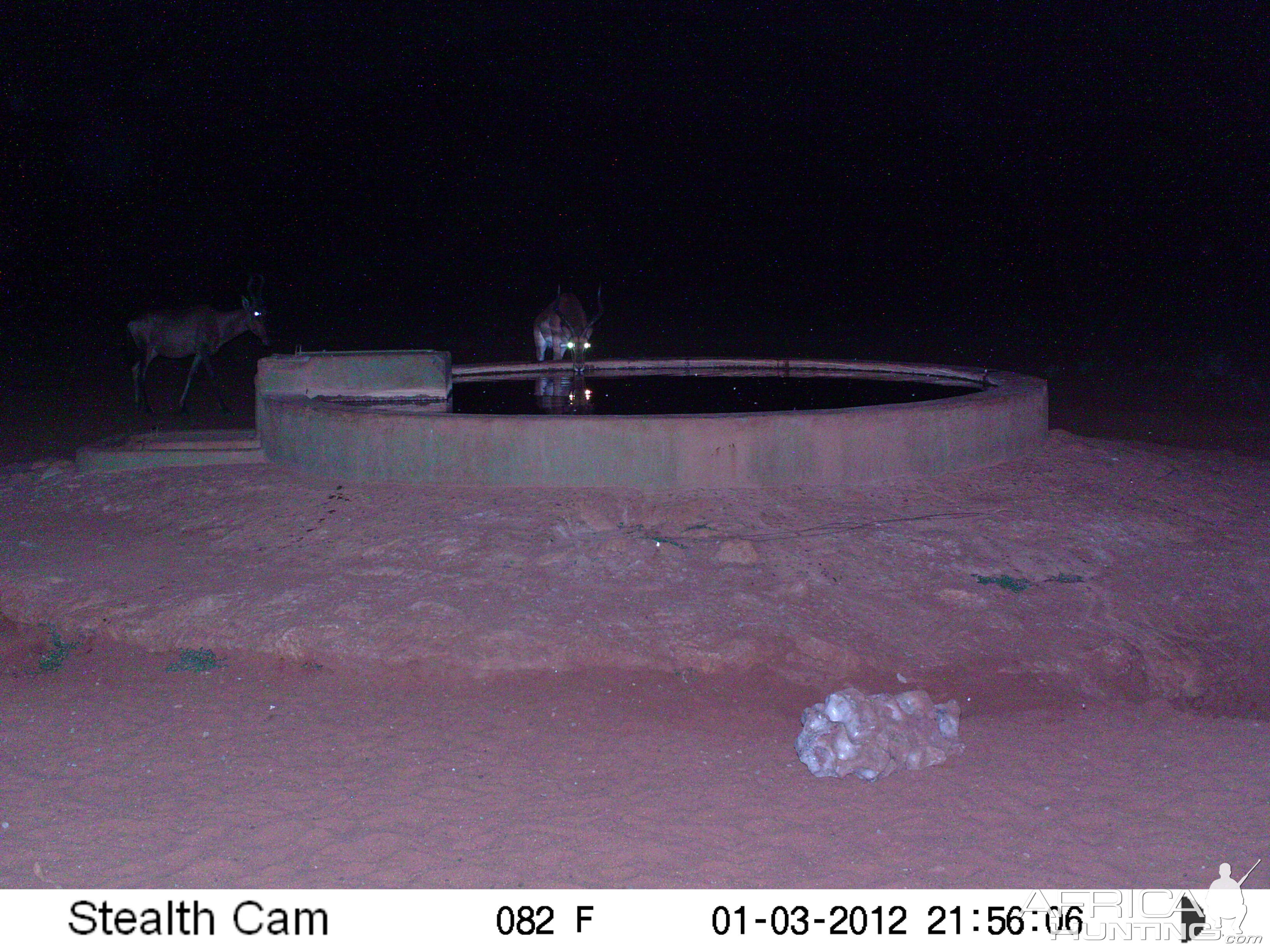 Trail Camera Namibia