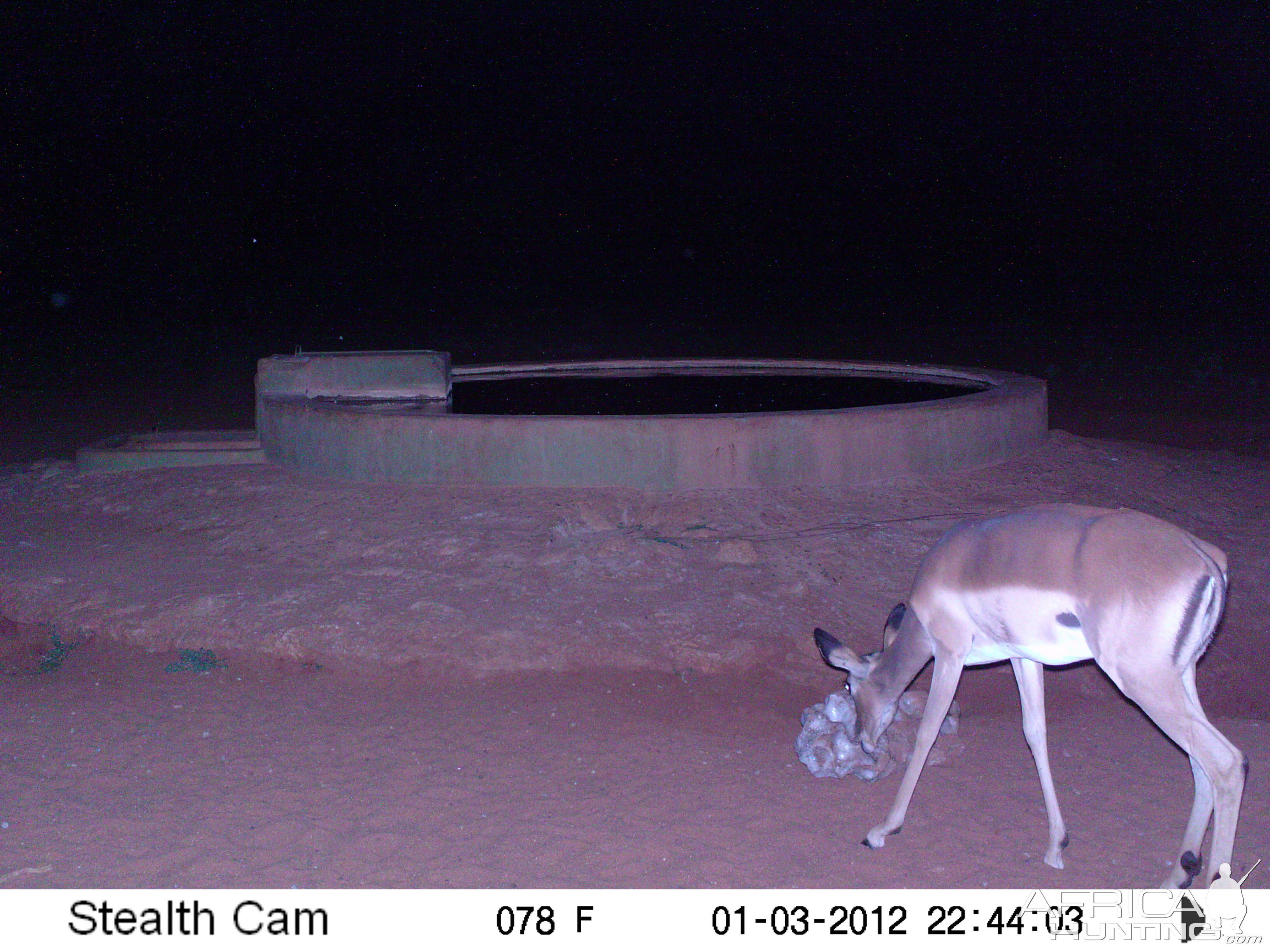 Trail Camera Namibia